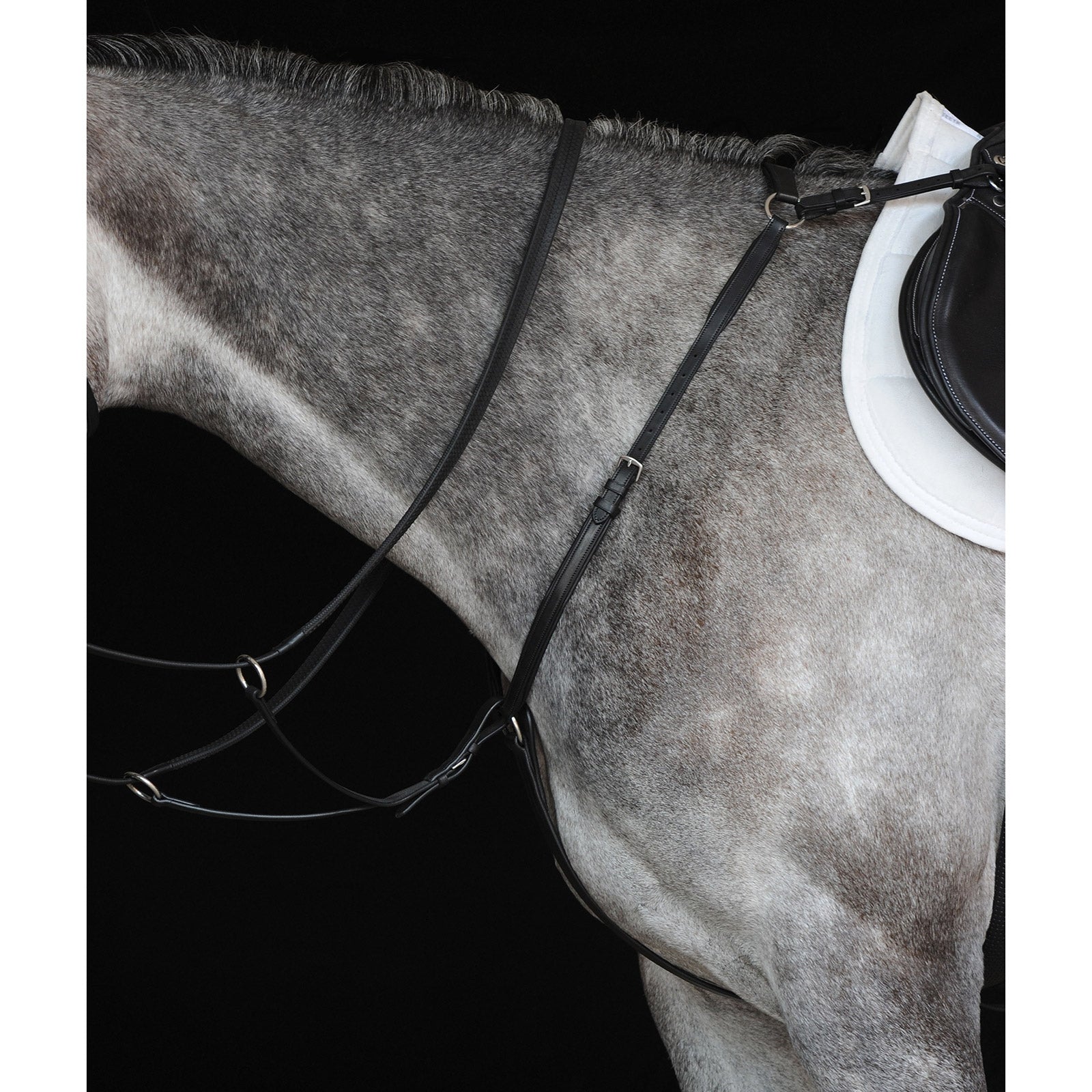 Collegiate Hunter Breast Plate IV Kantárok & Szárak