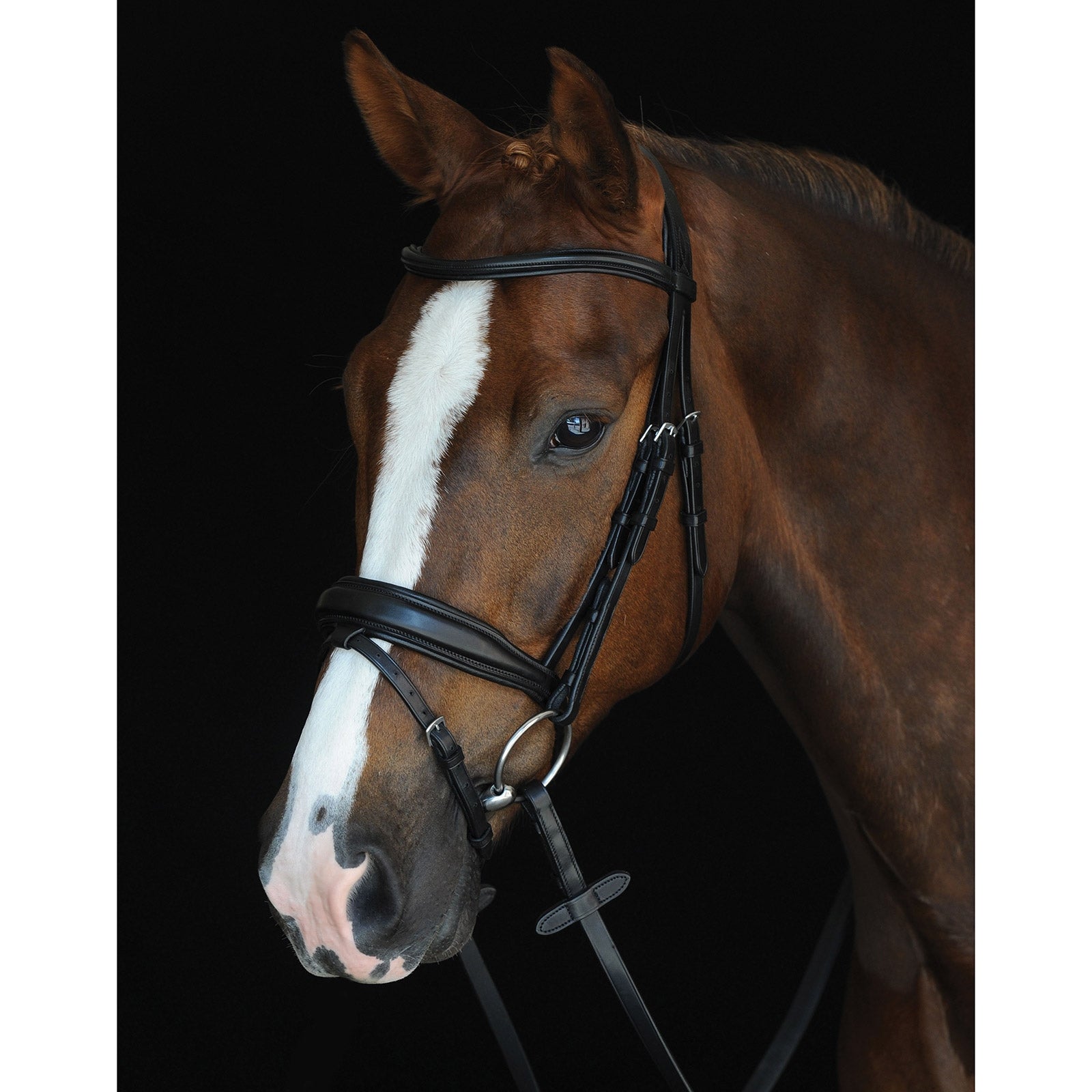 Collegiate Mono Crown Padded Raised Flash Bridle Kantárok & Szárak