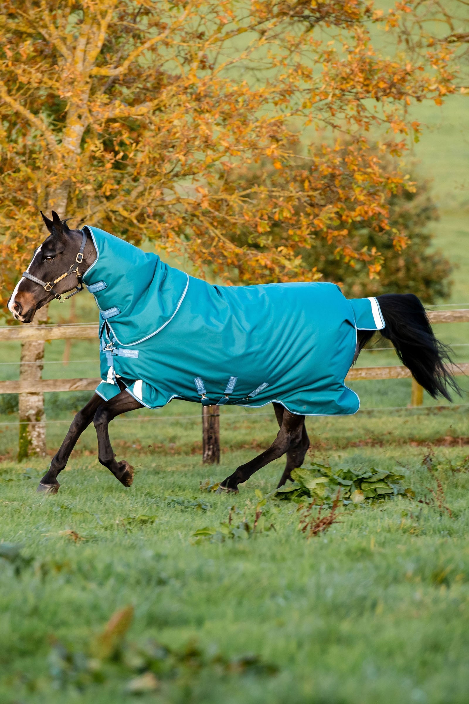 Horseware Amigo Bravo 12 Plus kültéri takaró levehető nyakrésszel, 400g Lótakarók