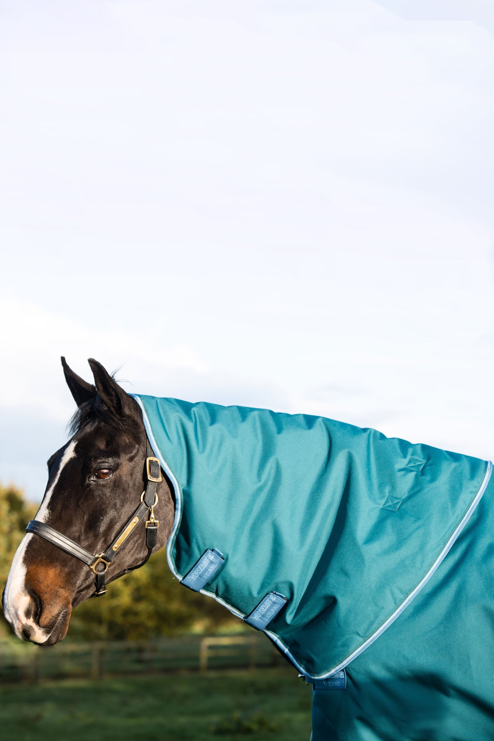 Horseware Amigo Bravo 12 Plus Turnout Rug With Detachable Neck, 400g Horse Rugs