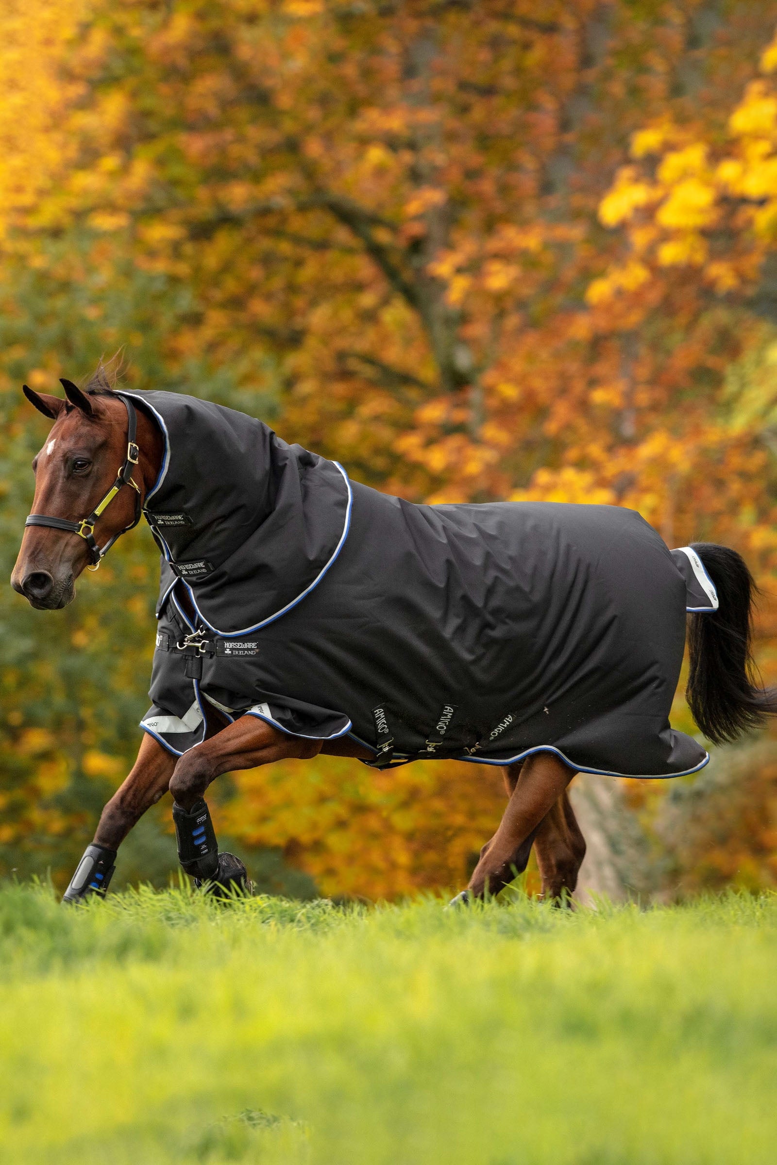 Horseware Amigo Bravo 12 Plus kültéri takaró, 250 g Lótakarók
