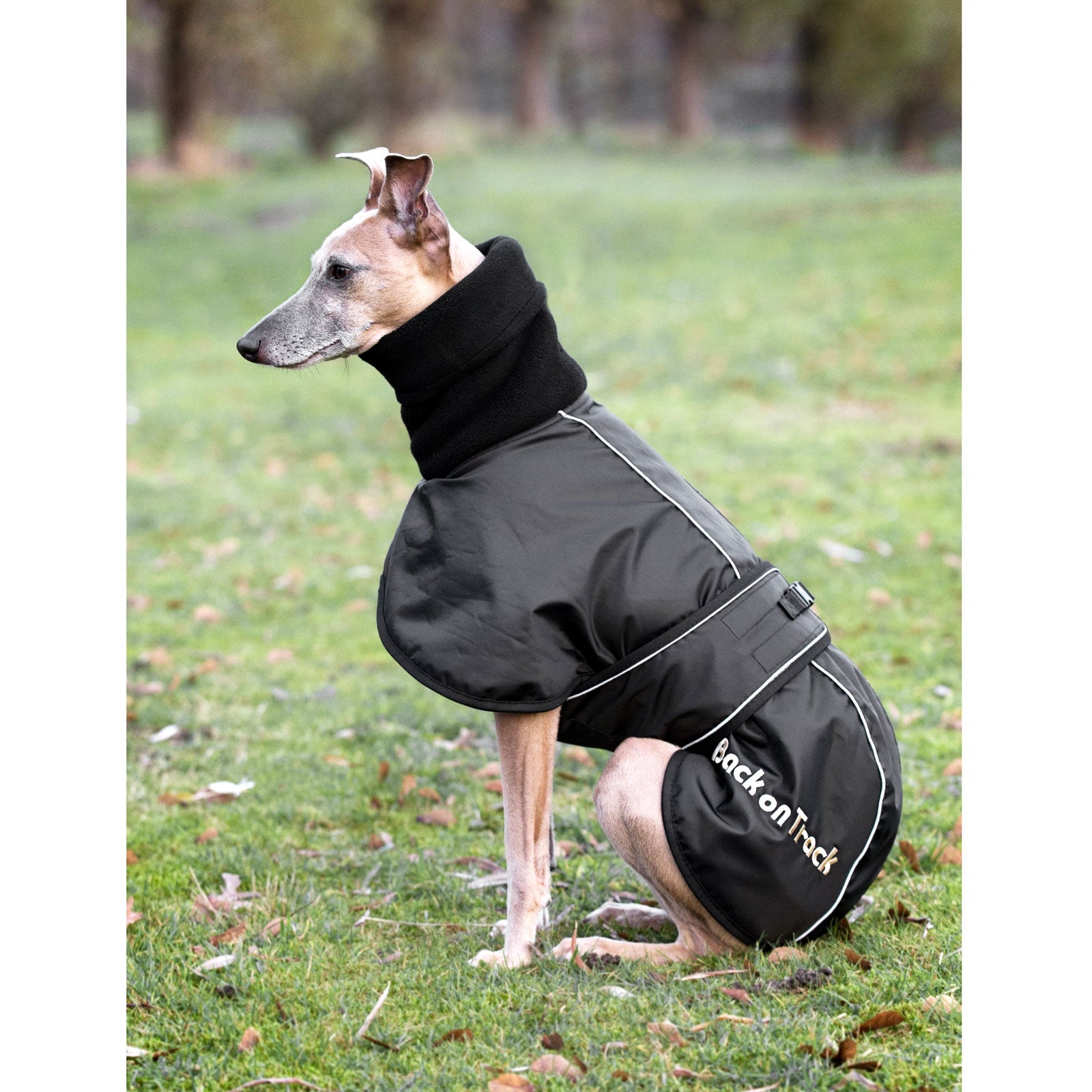 undefined Back on Track Whippet Dog Rug, L-XXL Dog Accesories