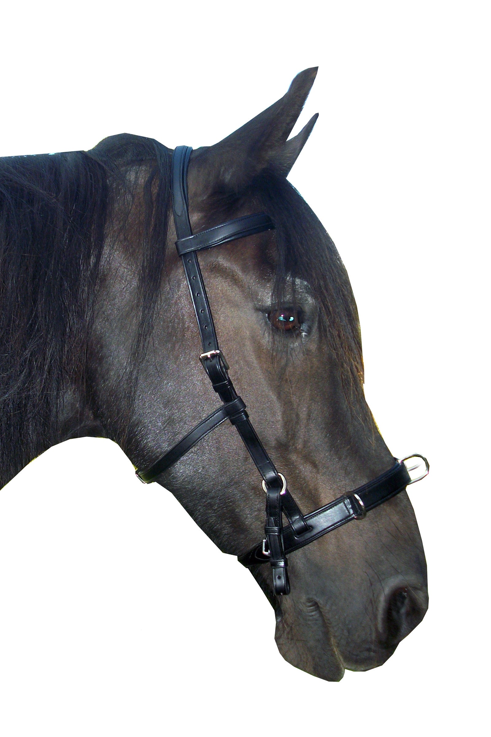 F.R.A. Freedom Riding Articles Baro Cavesson, Leather (Shire) Horse Training