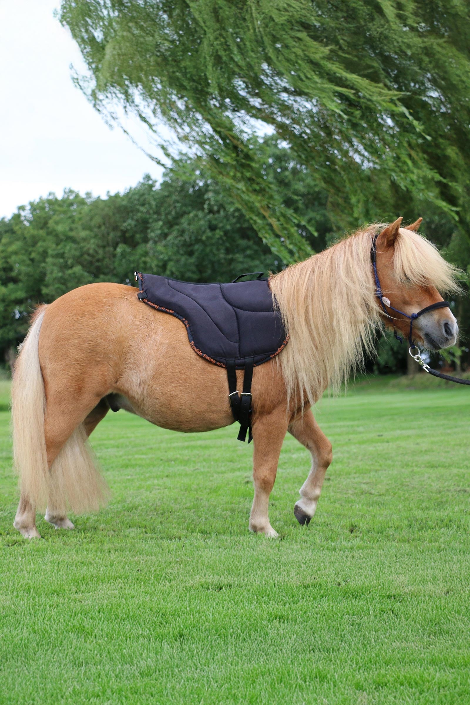 F.R.A. Freedom Riding Articles Dardo Bareback Pad (S) Saddles, Girths & Stirrups