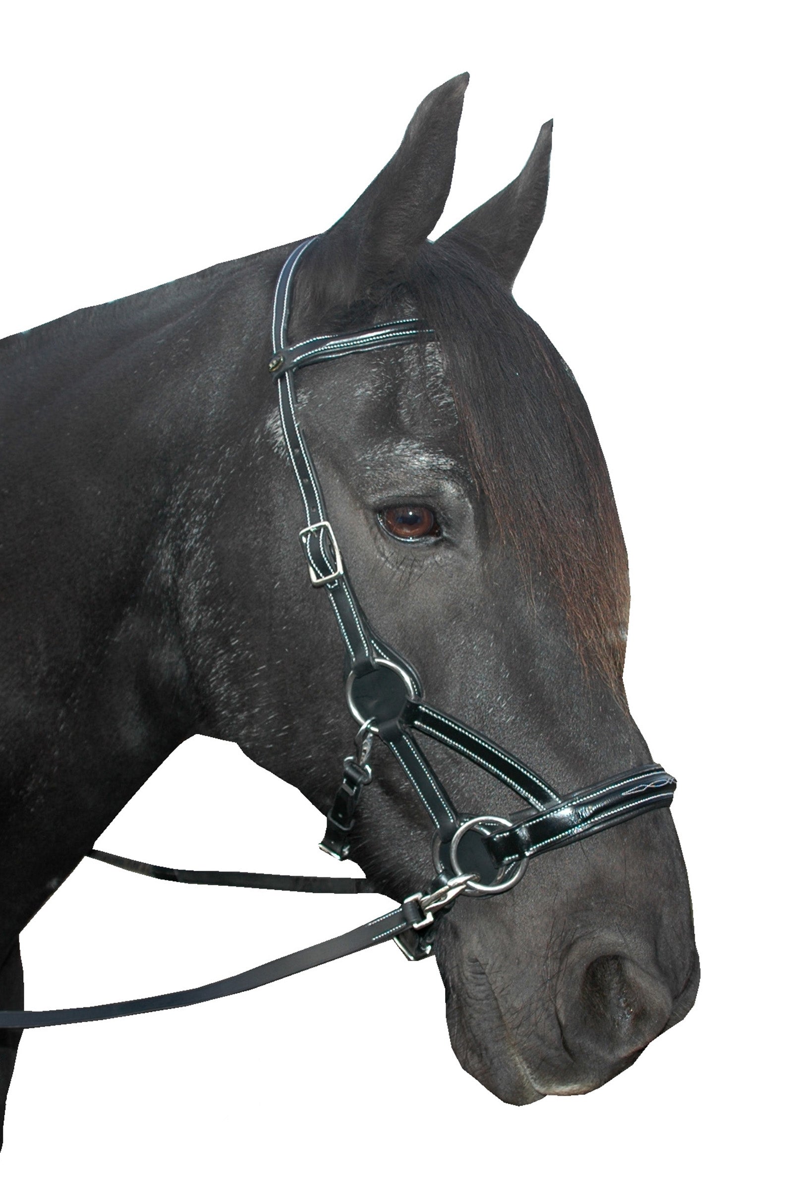 F.R.A. Freedom Riding Articles Flandy Side Pull (System 3) English Leather Bridles & Reins