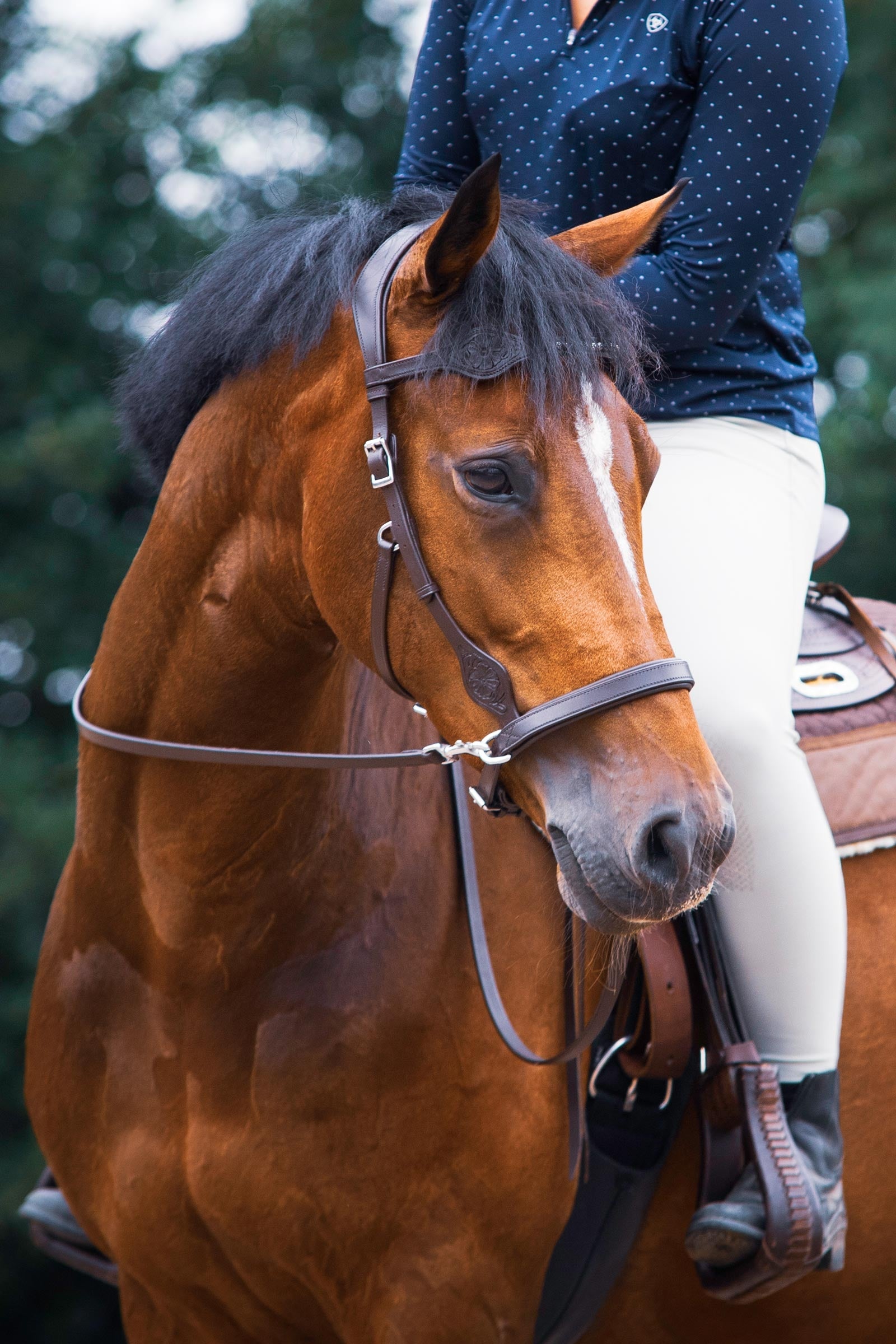 F.R.A. Freedom Riding Articles Dandy Sidepull With Reins (System 3) Bridles & Reins