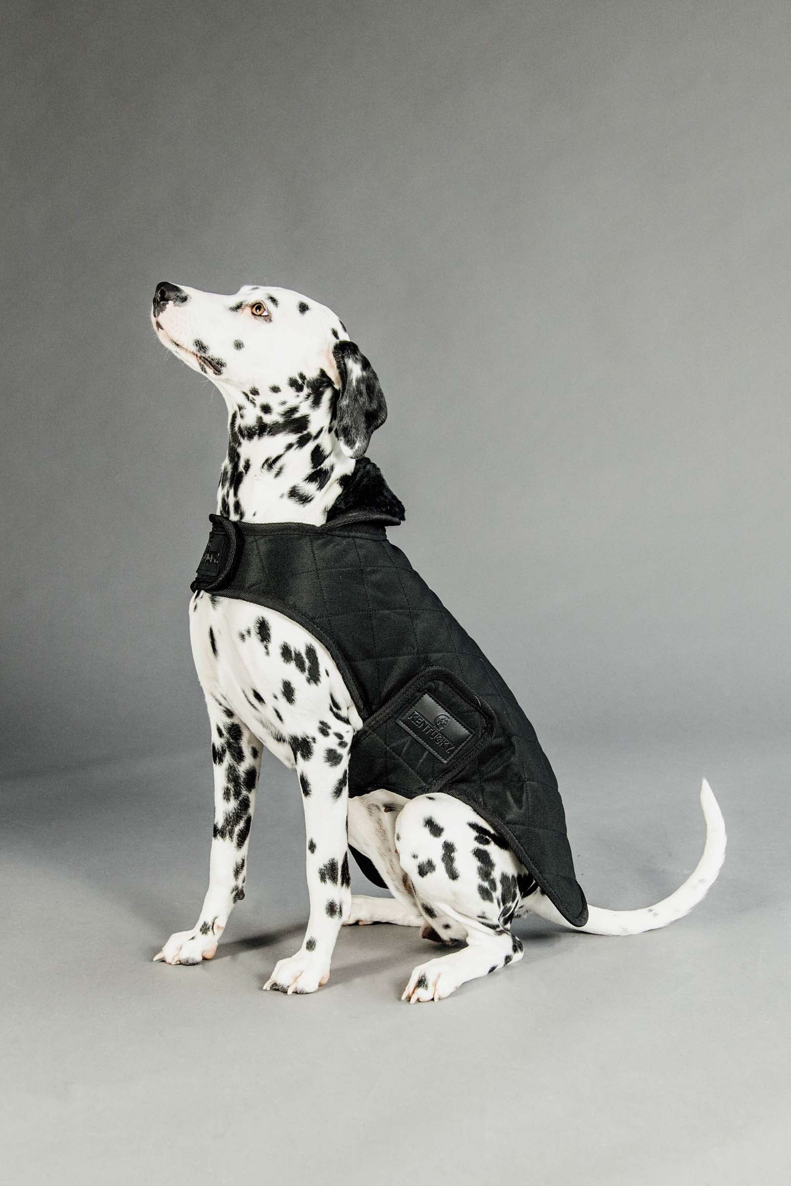 Kentucky Dogwear kutyakabát vízálló Kutya