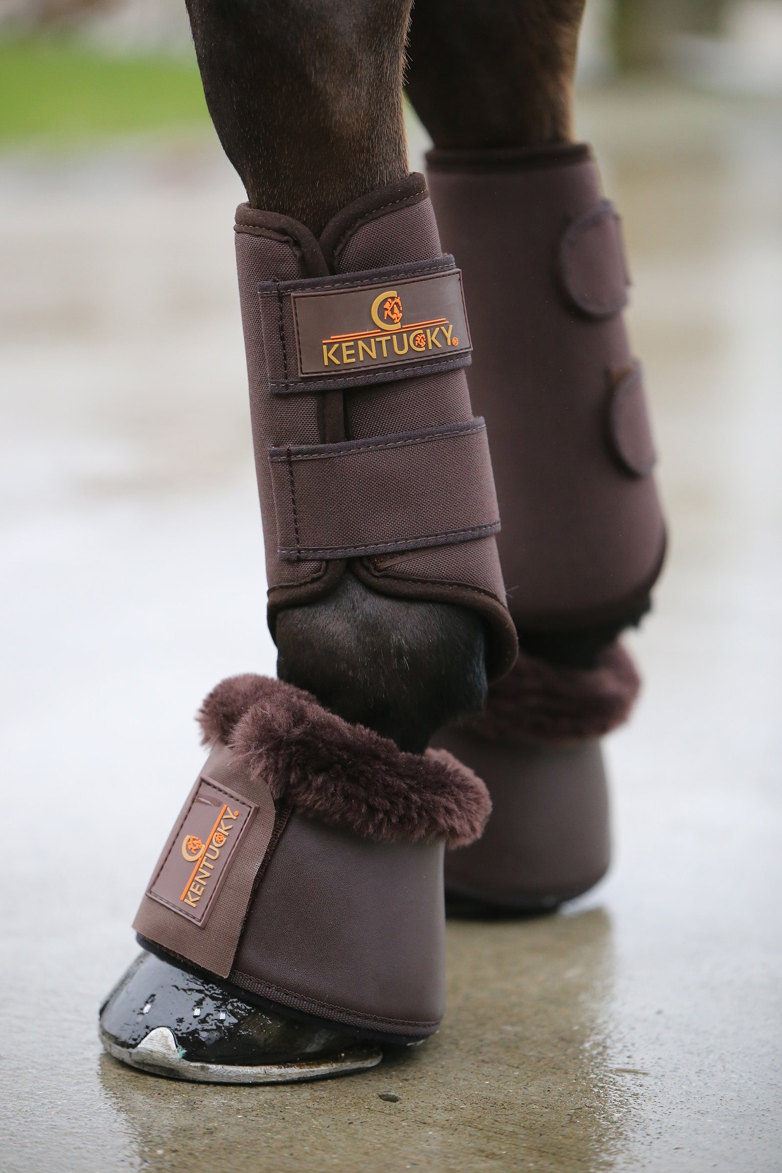 Kentucky Horsewear 3D Spacer Front Leg Protection & Hoof Protection for Horses