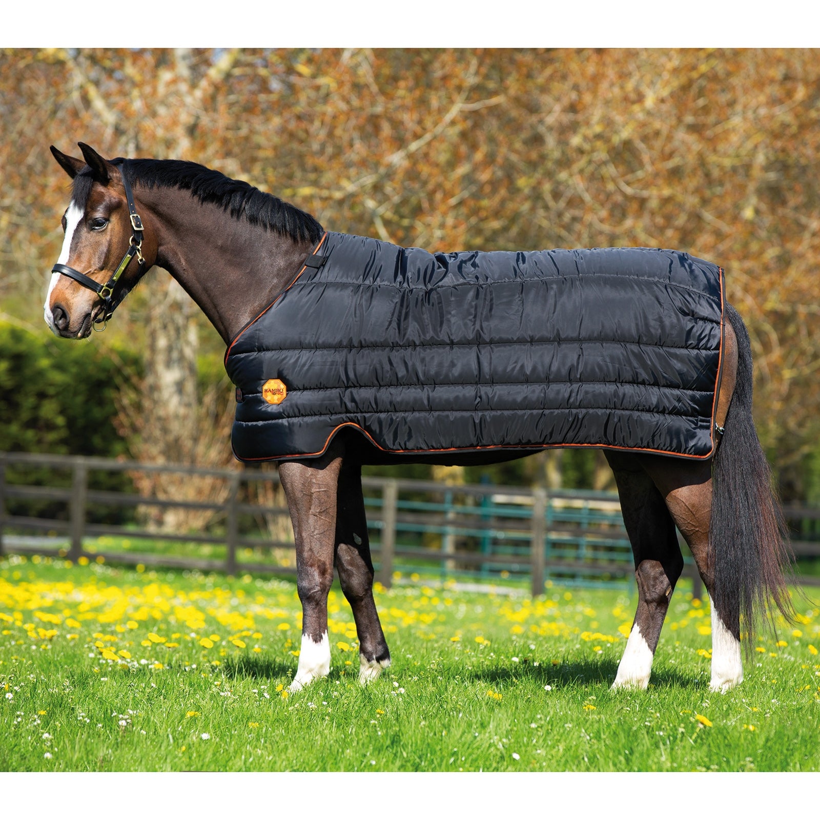 Horseware Rambo Ionic Stable- & Under Rug, 100g Lótakarók