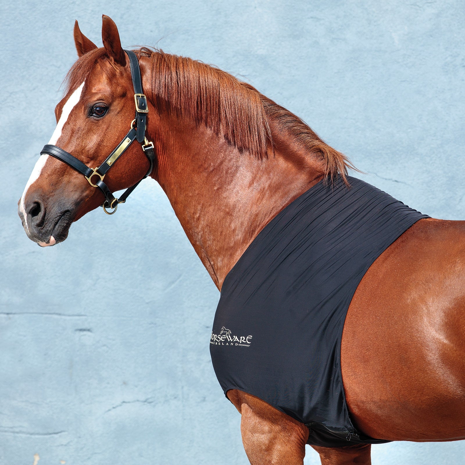 Horseware Rambo Slinky Shoulder Lótakarók