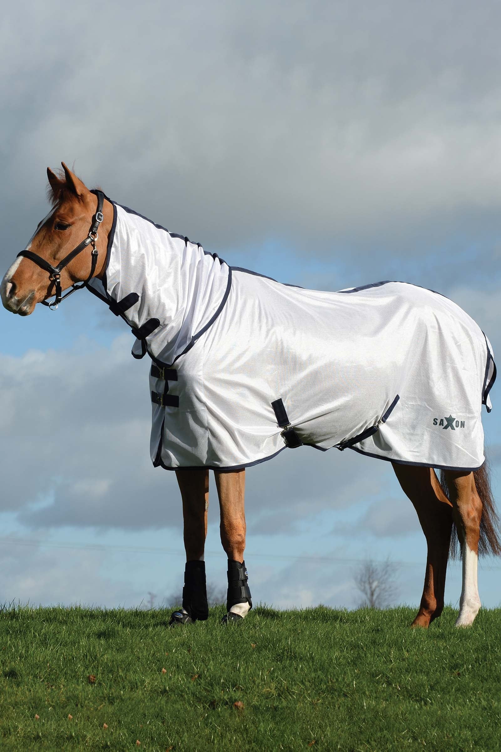 Saxon Mesh Combo Rug with Fixed Neck Horse Rugs