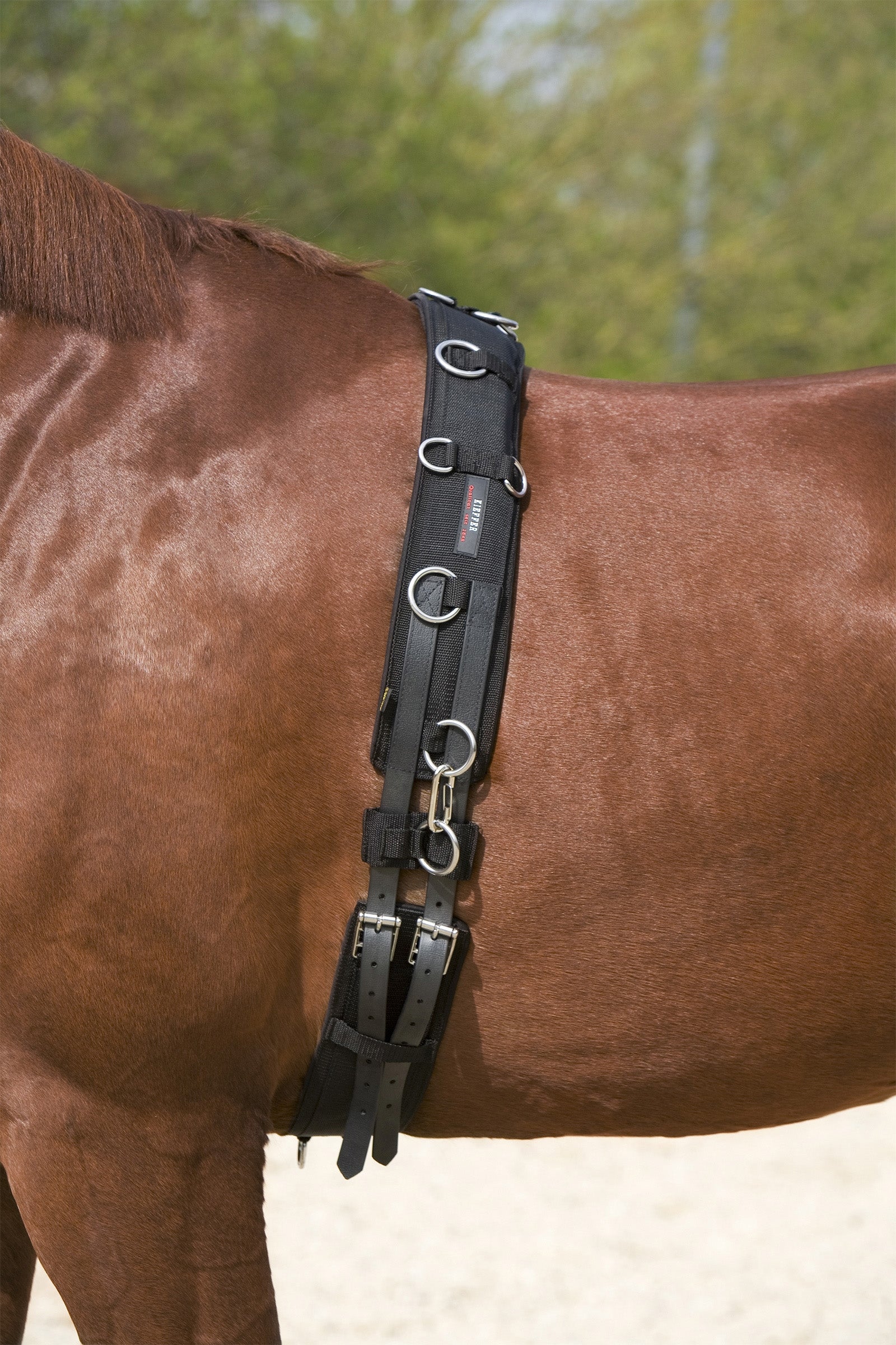 Kieffer Lunging Girth Horse Training