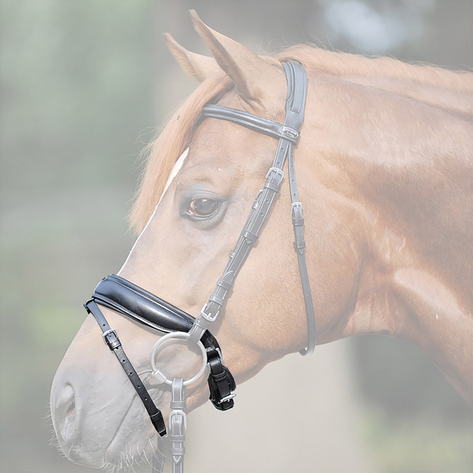 Kavalkade Crank noseband, extra wide Kantárok & Szárak