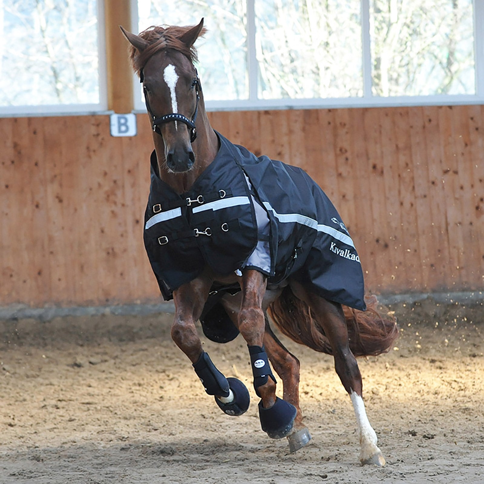 Kavalkade Alaska IV Turnout Rug, 300 g Lótakarók