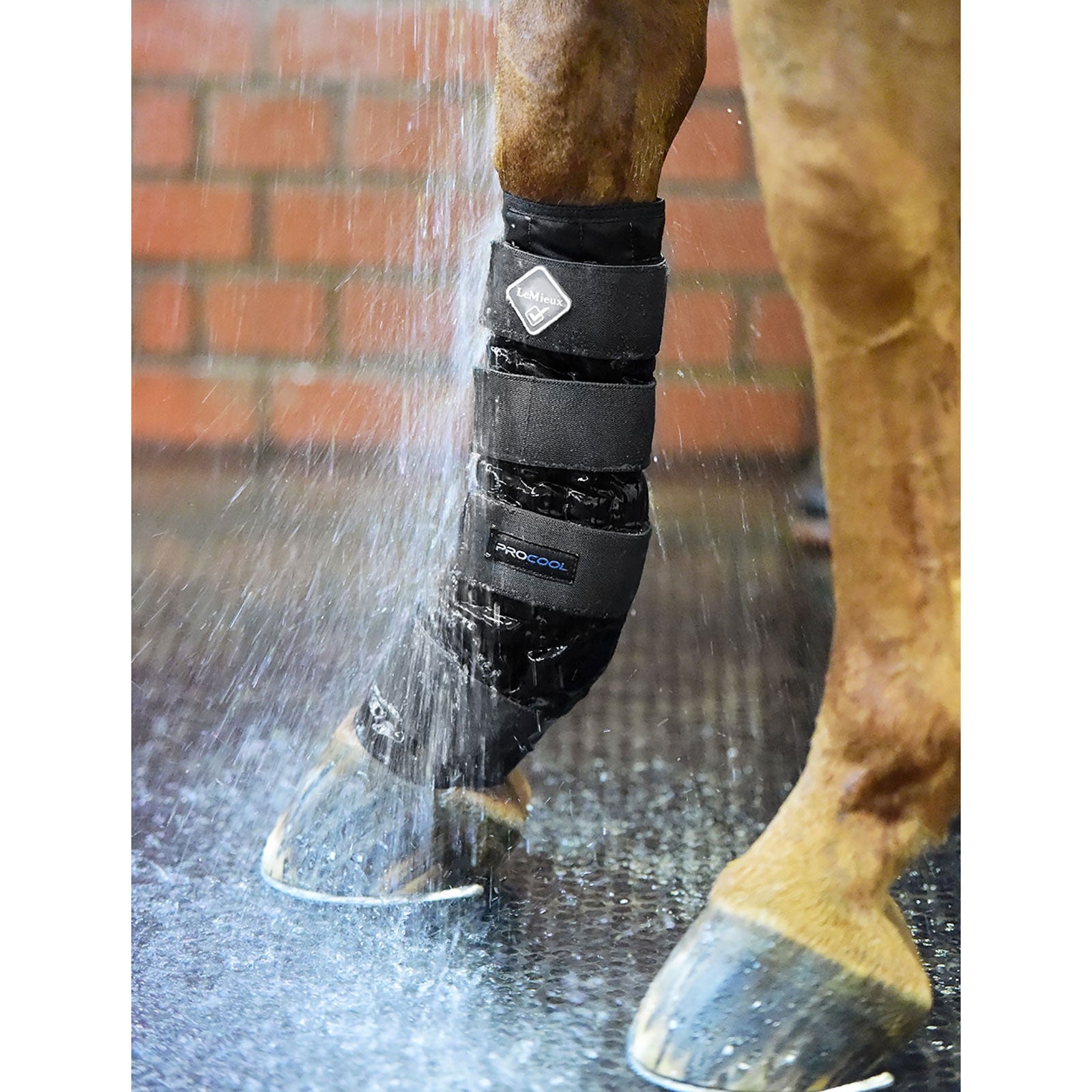 LeMieux Hűtő Lábvédő Leg & Hoof Protection