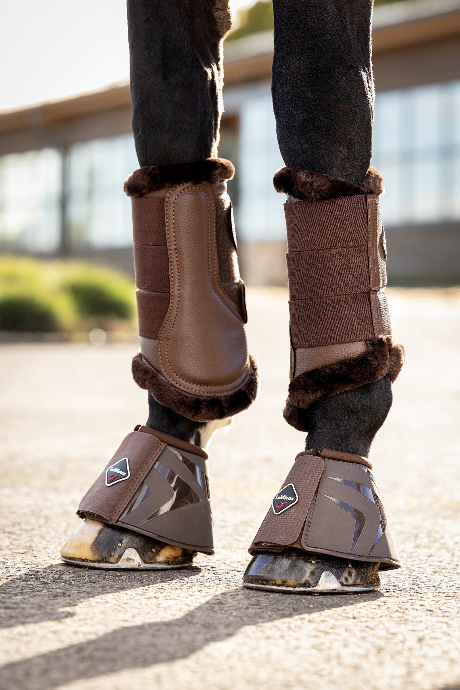 LeMieux ProShell Pataharang Leg Protection & Hoof Protection for Horses