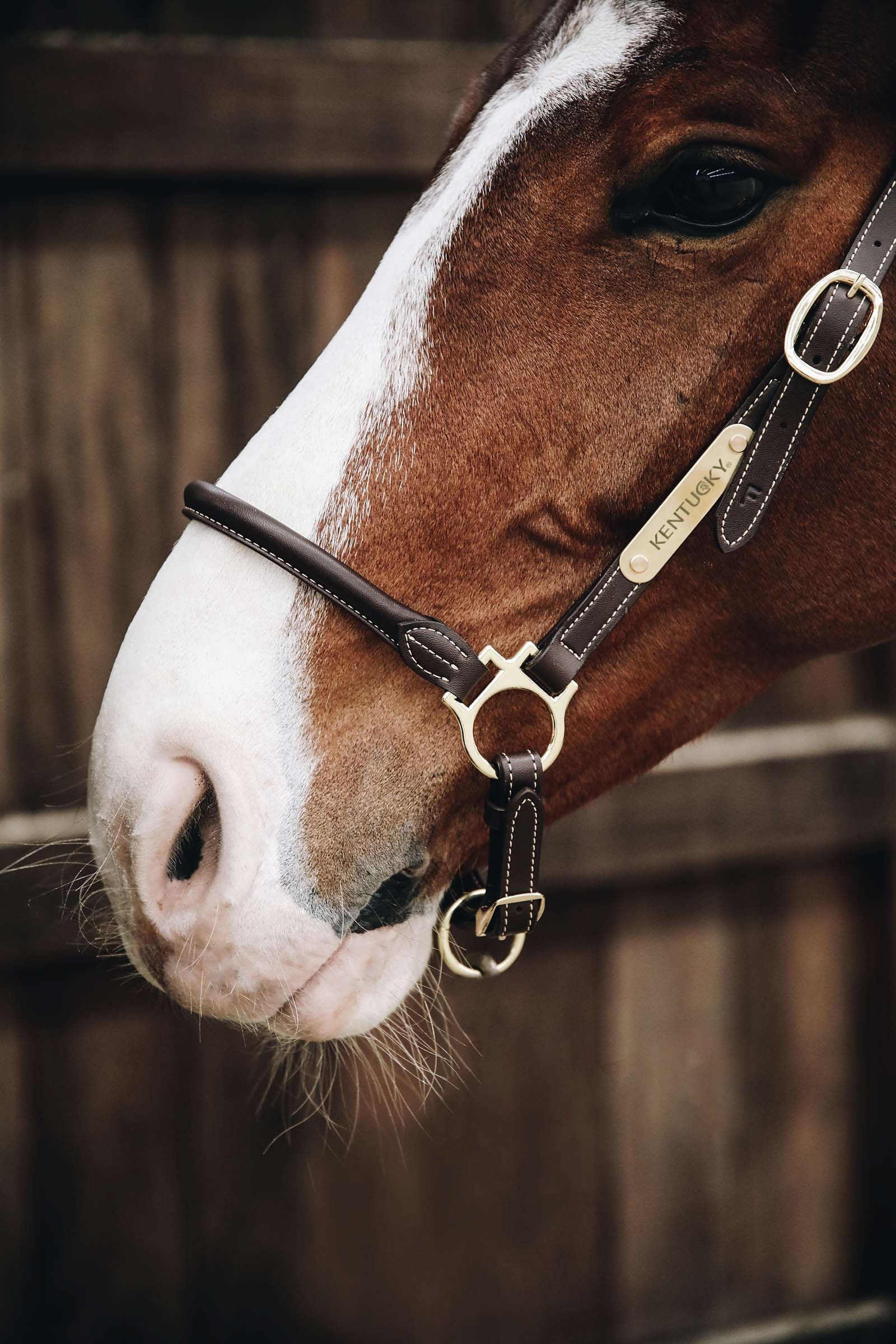 Kentucky Horsewear Leather Grooming Halter Halters & Leads