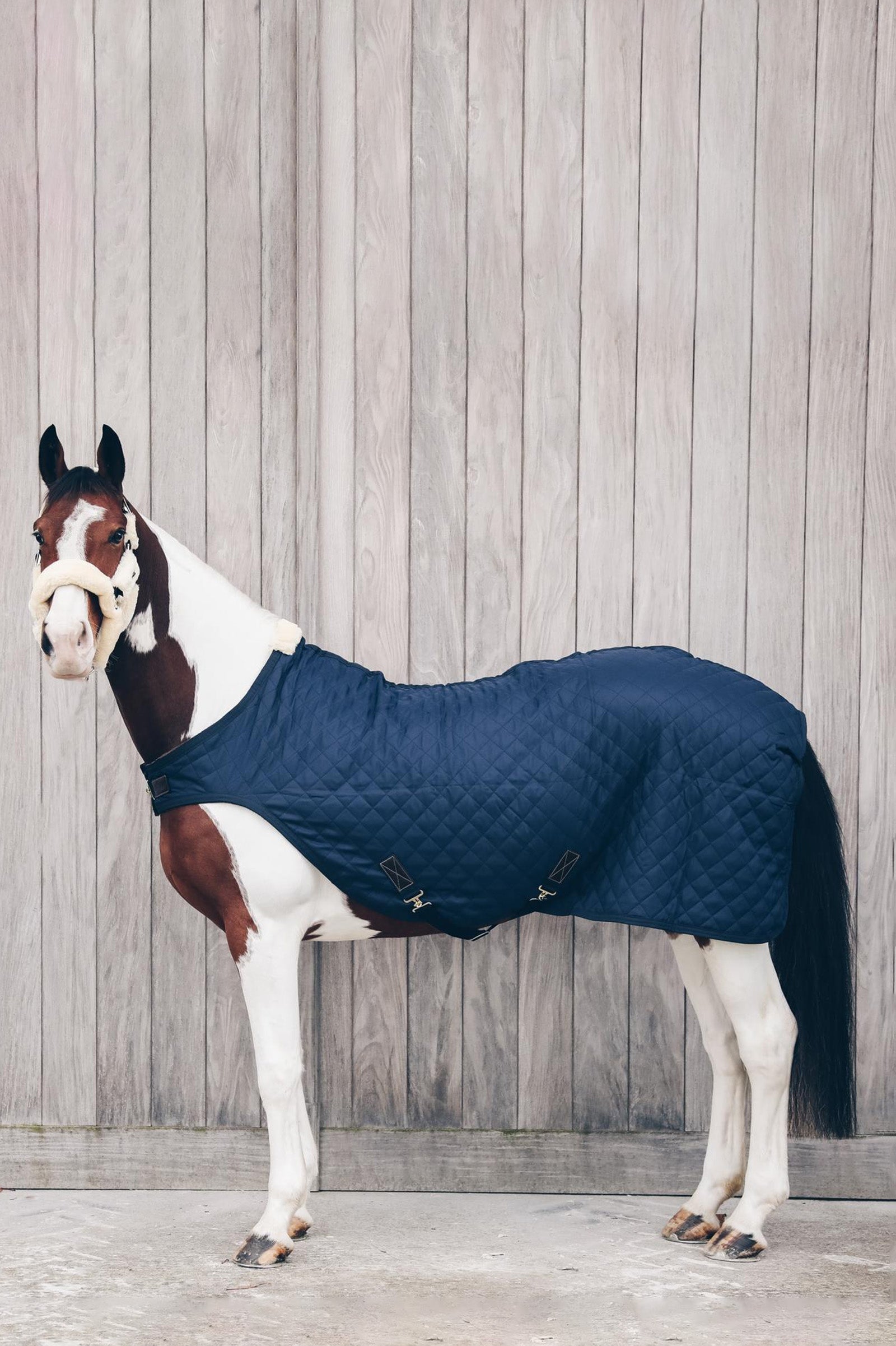 Kentucky Horsewear Walker szőnyeg, 160g Lótakarók