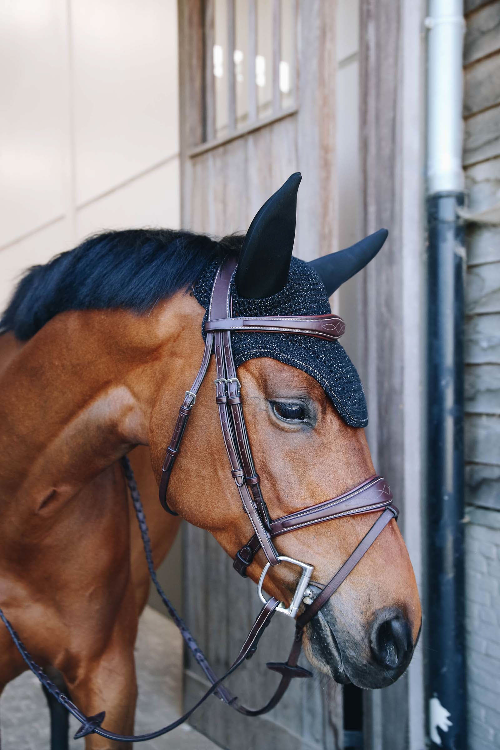 Kentucky Horsewear Wellington Sparkling Fly Veil Saddle Pads