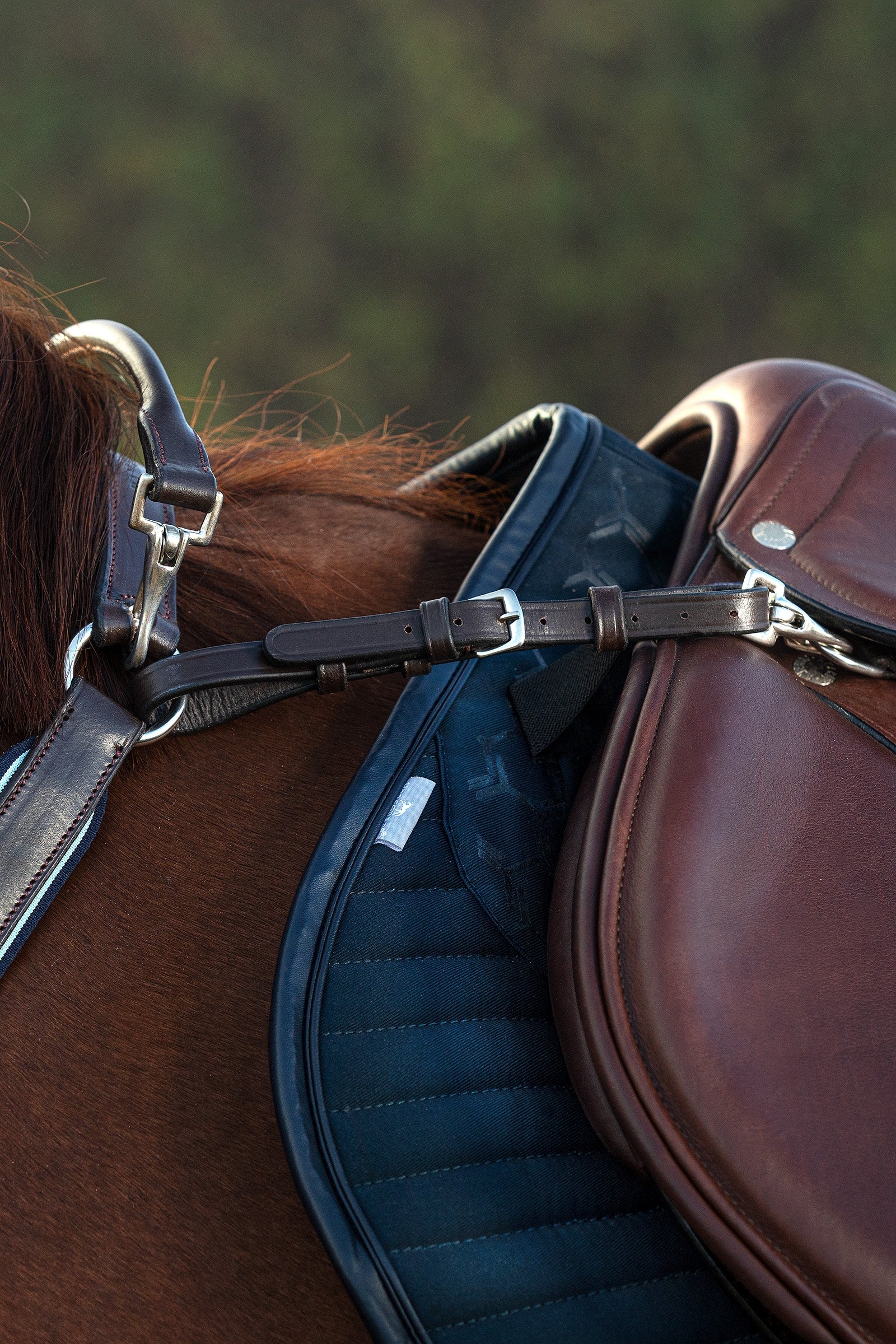 Horseware Rambo Micklem Breastplate Bridles & Reins