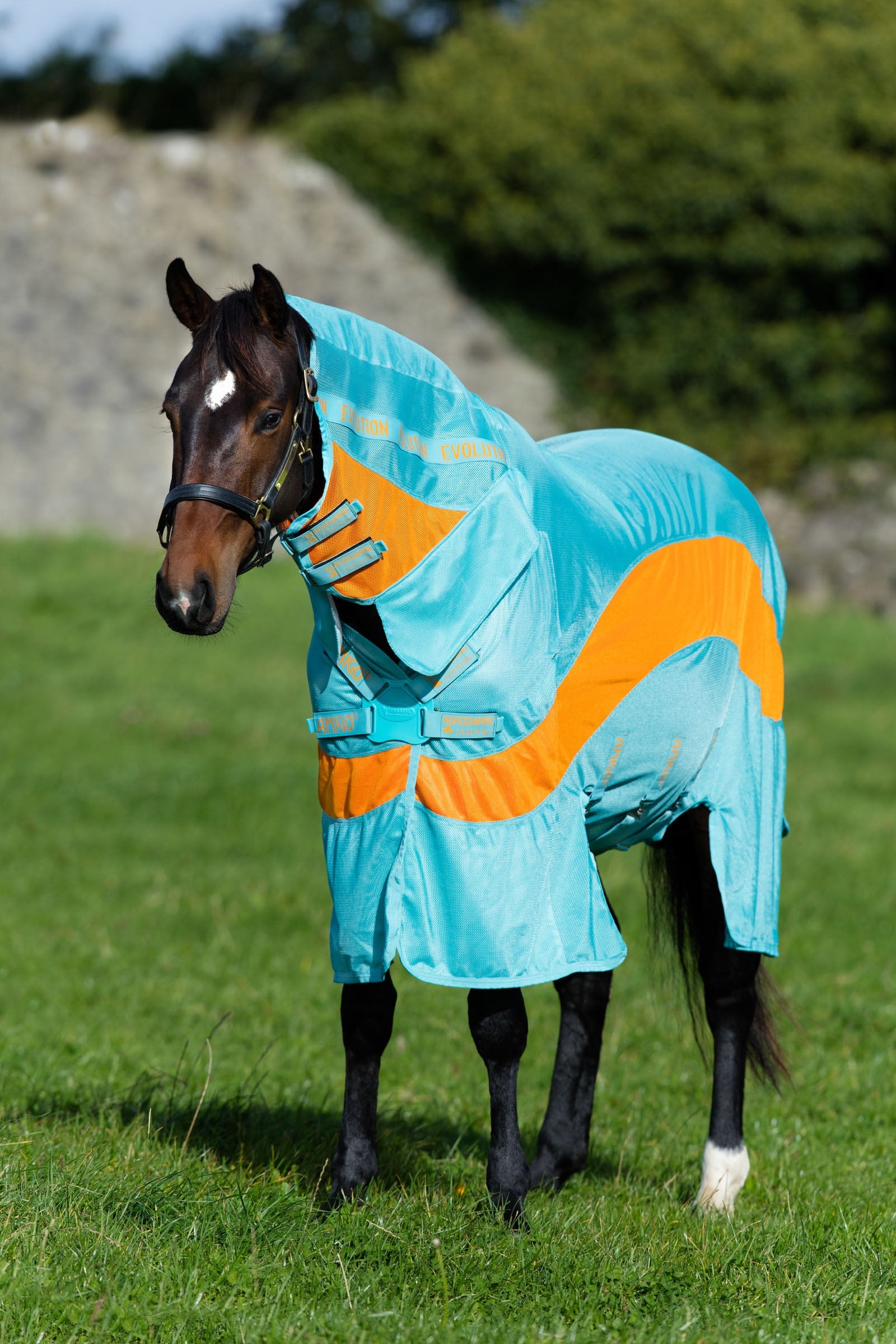 Horseware Amigo Evolution Fly Rug with Fixed Neck Lótakarók