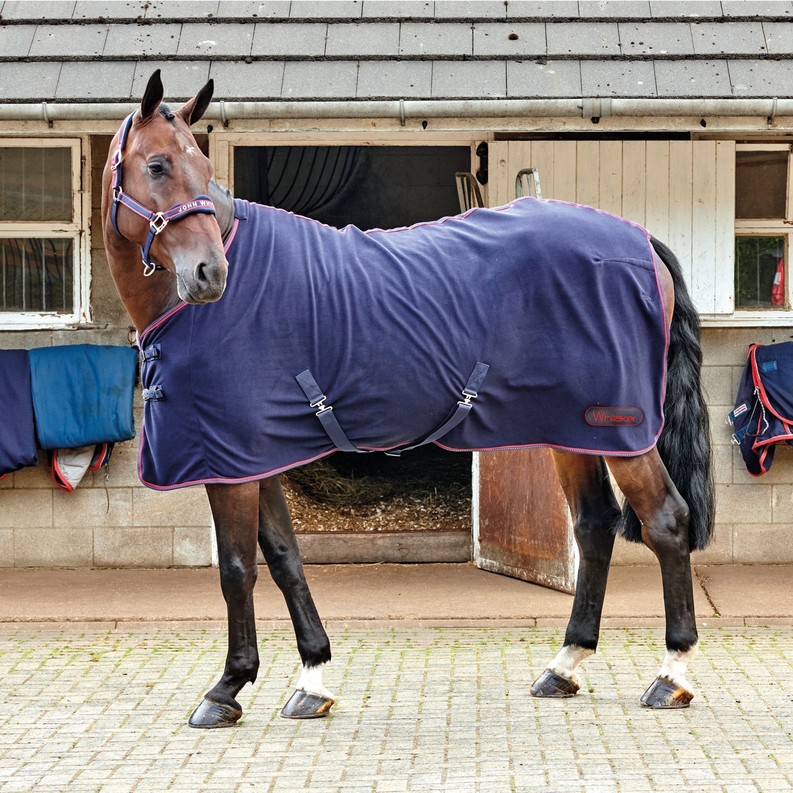 John Whitaker JW Rastrick Fleece rug Lótakarók