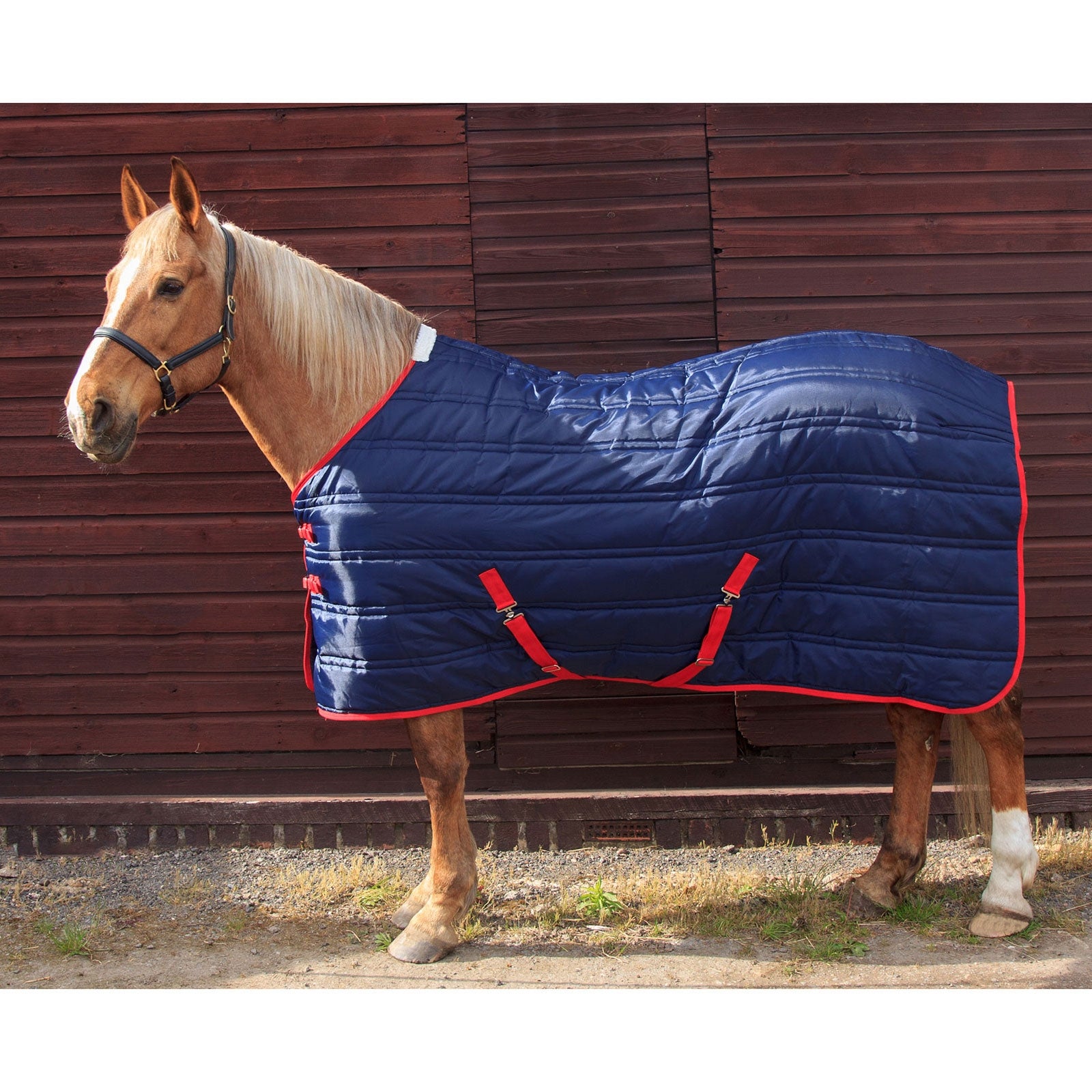 John Whitaker JW Thomas 250g Stable rug Lótakarók