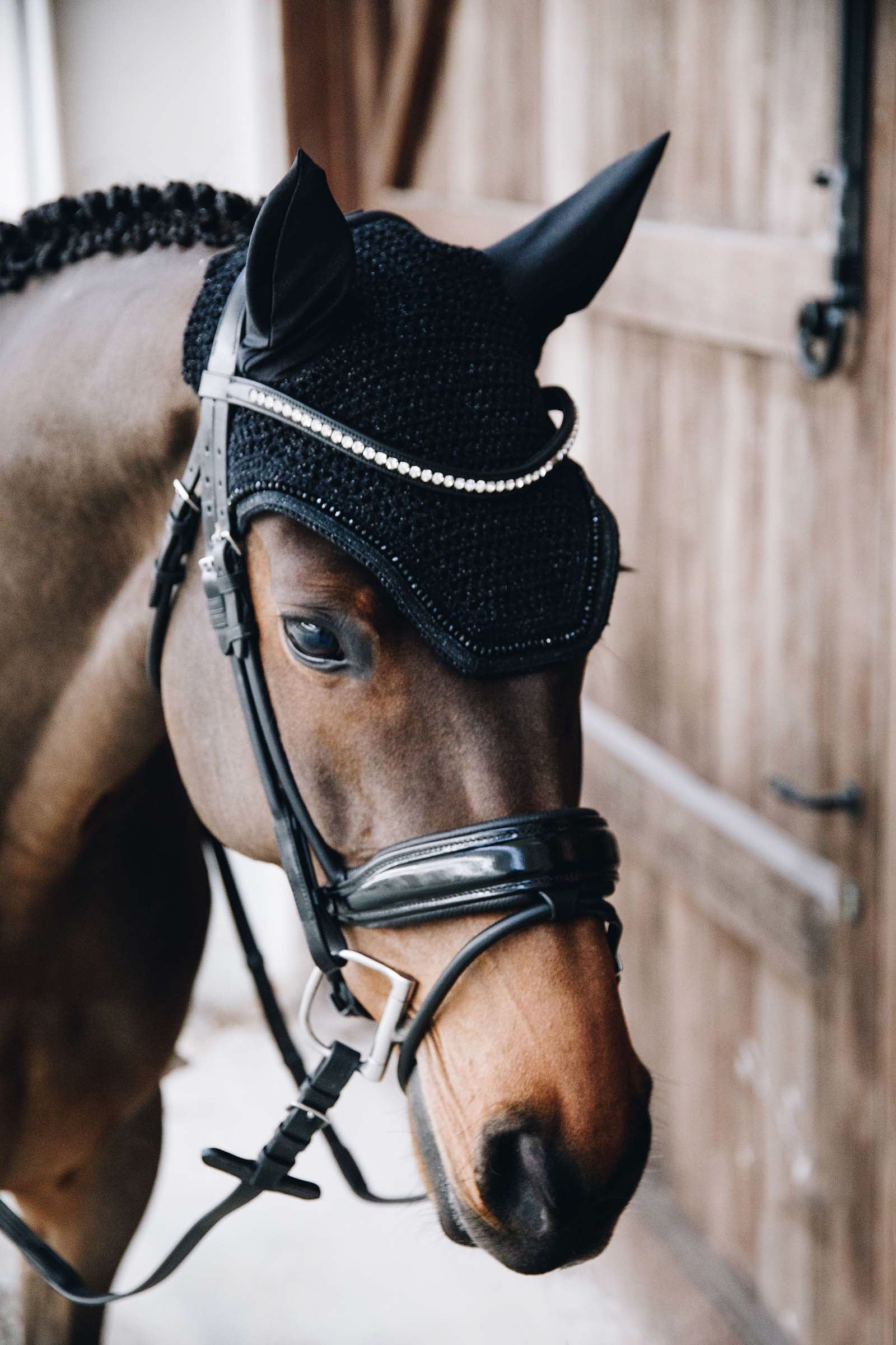 Kentucky Horsewear Wellington Glitter Fly Veil Saddle Pads