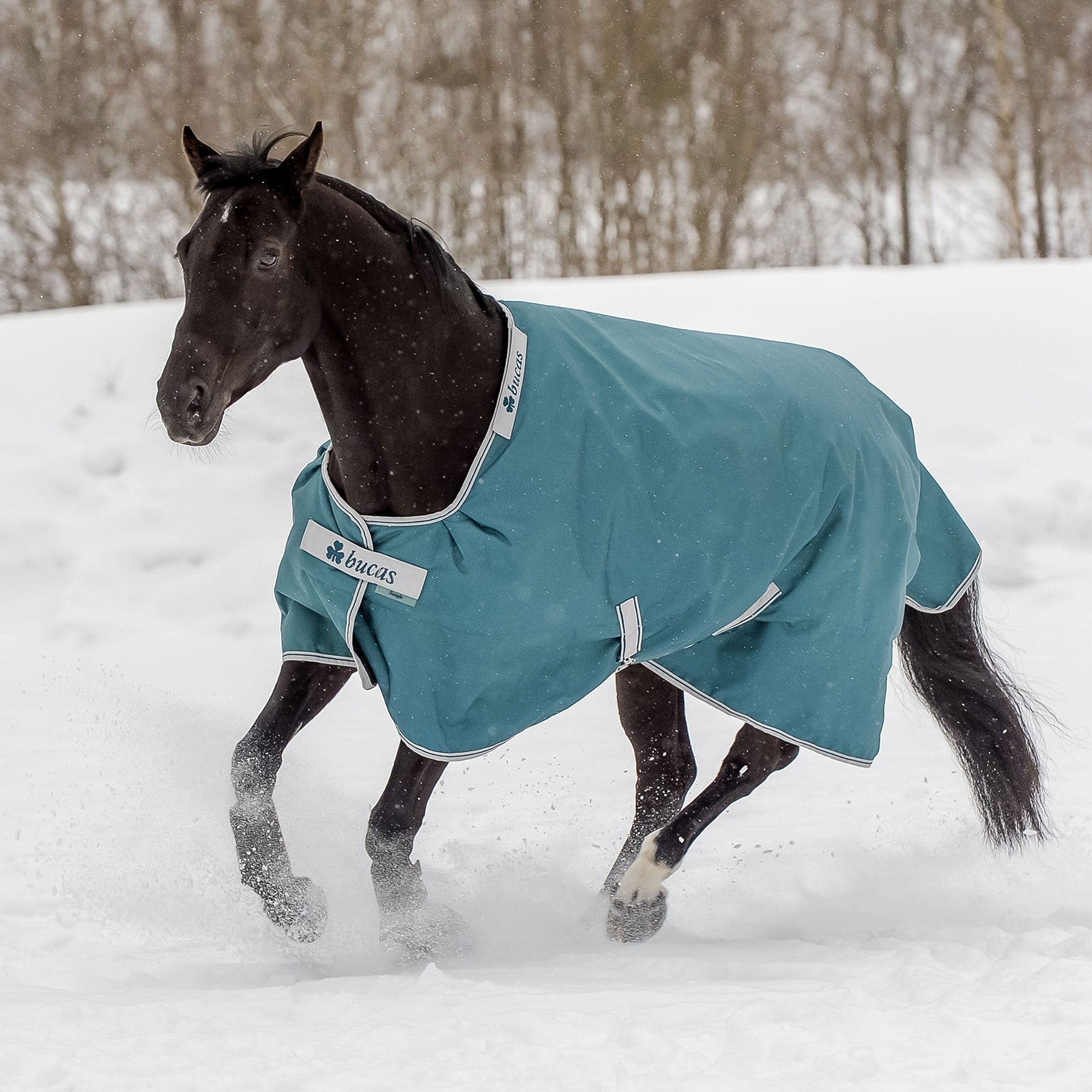 Bucas Atlantic Kültéri Takaró, 400g Lótakarók
