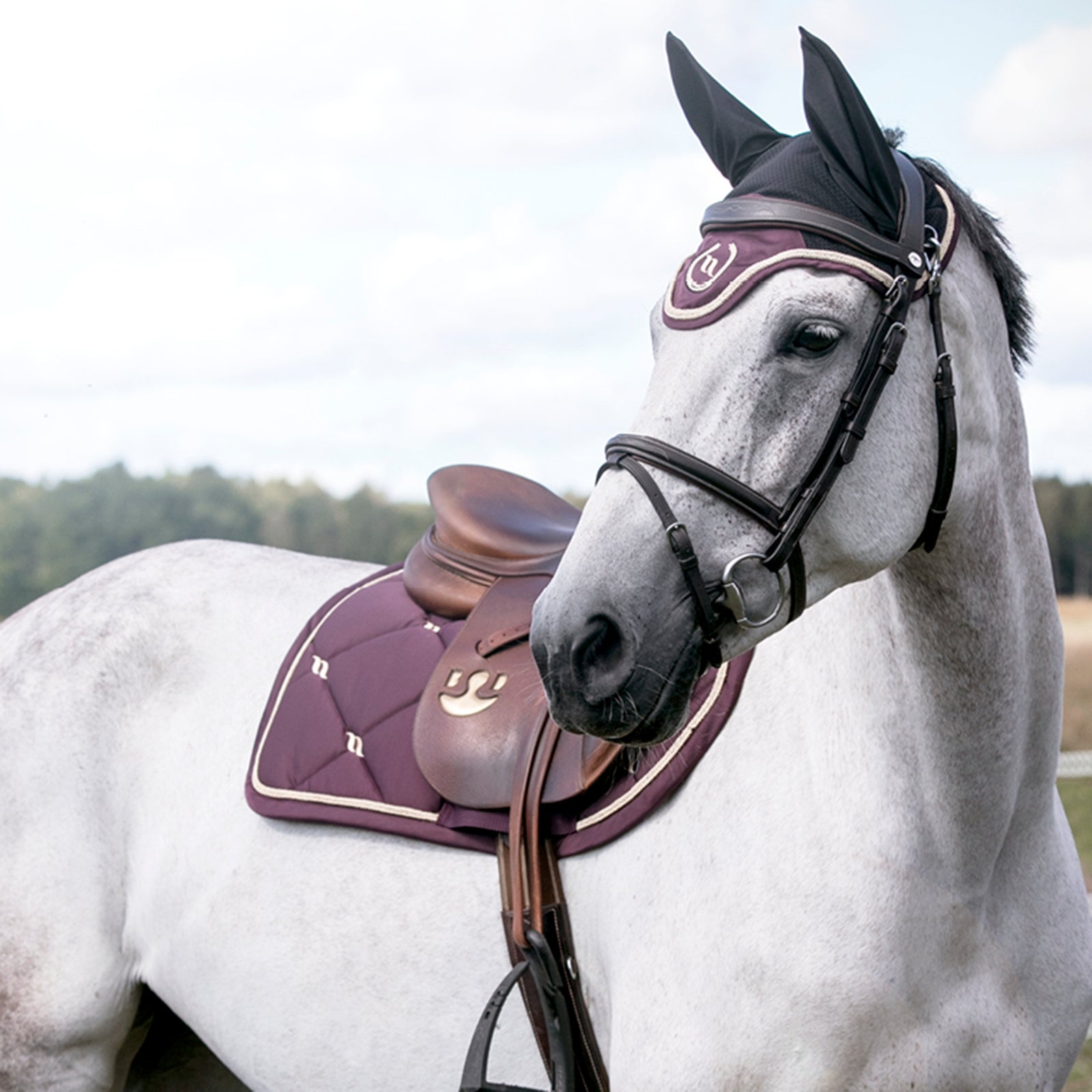 Back on Track Nights Collection Horse Bonnet With Welltex® Saddle Pads