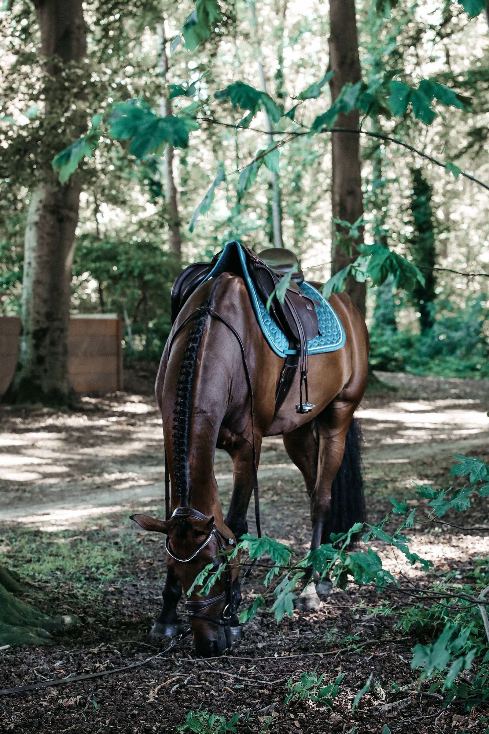 Lifestyle shot 1