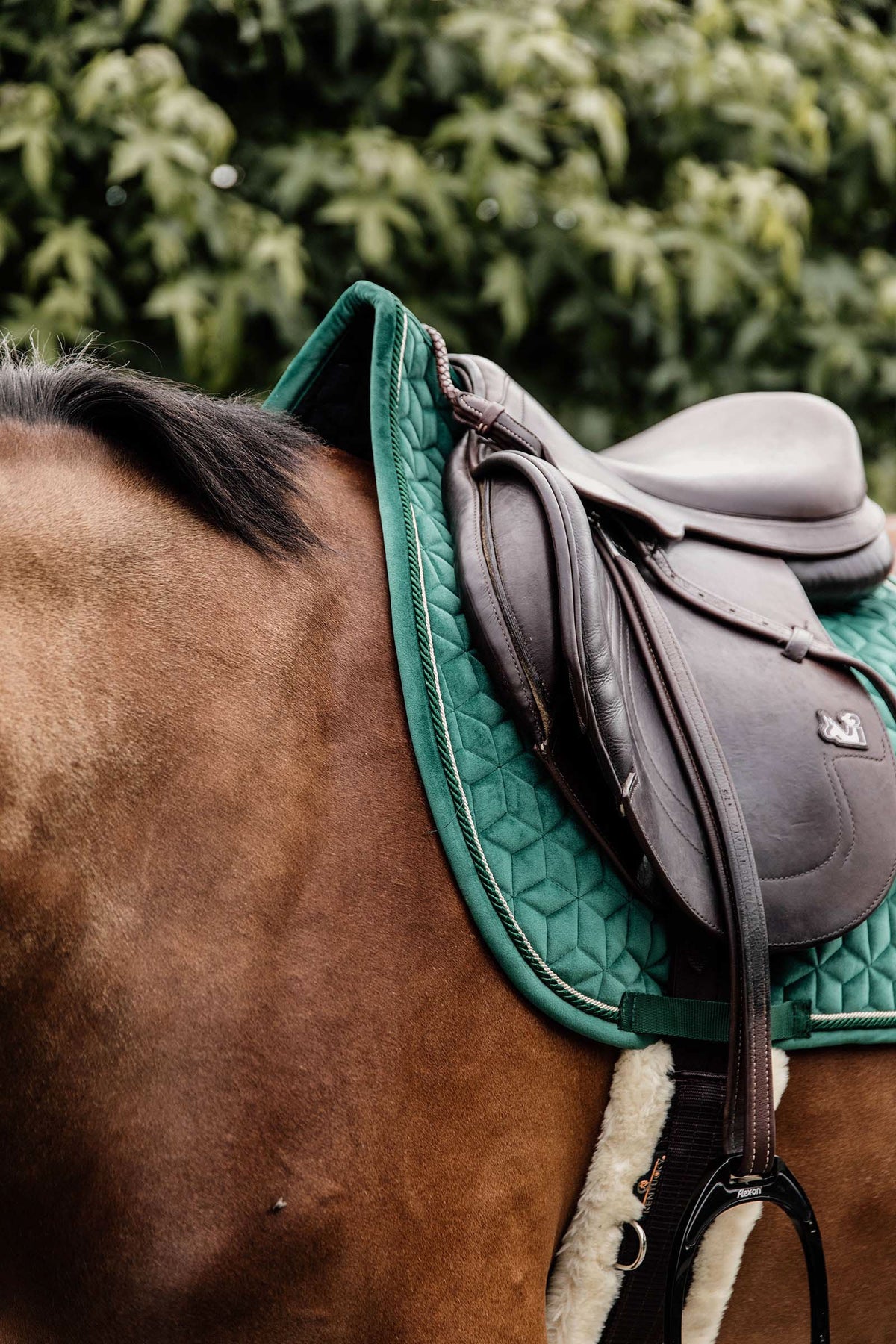 Kentucky Horsewear Velvet Jumping Saddle Pad Saddle Pads
