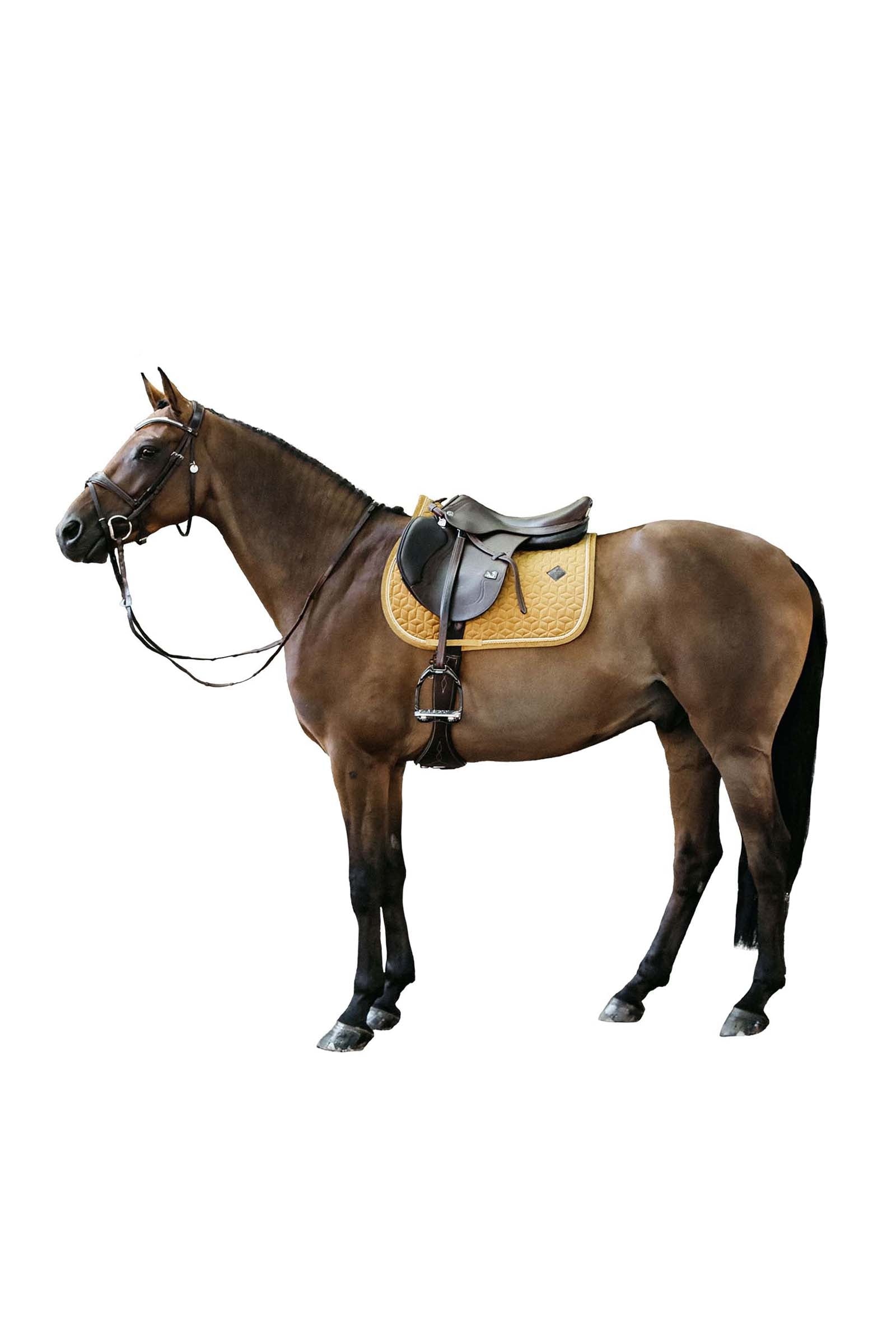 Kentucky Horsewear Velvet Jumping Saddle Pad Saddle Pads