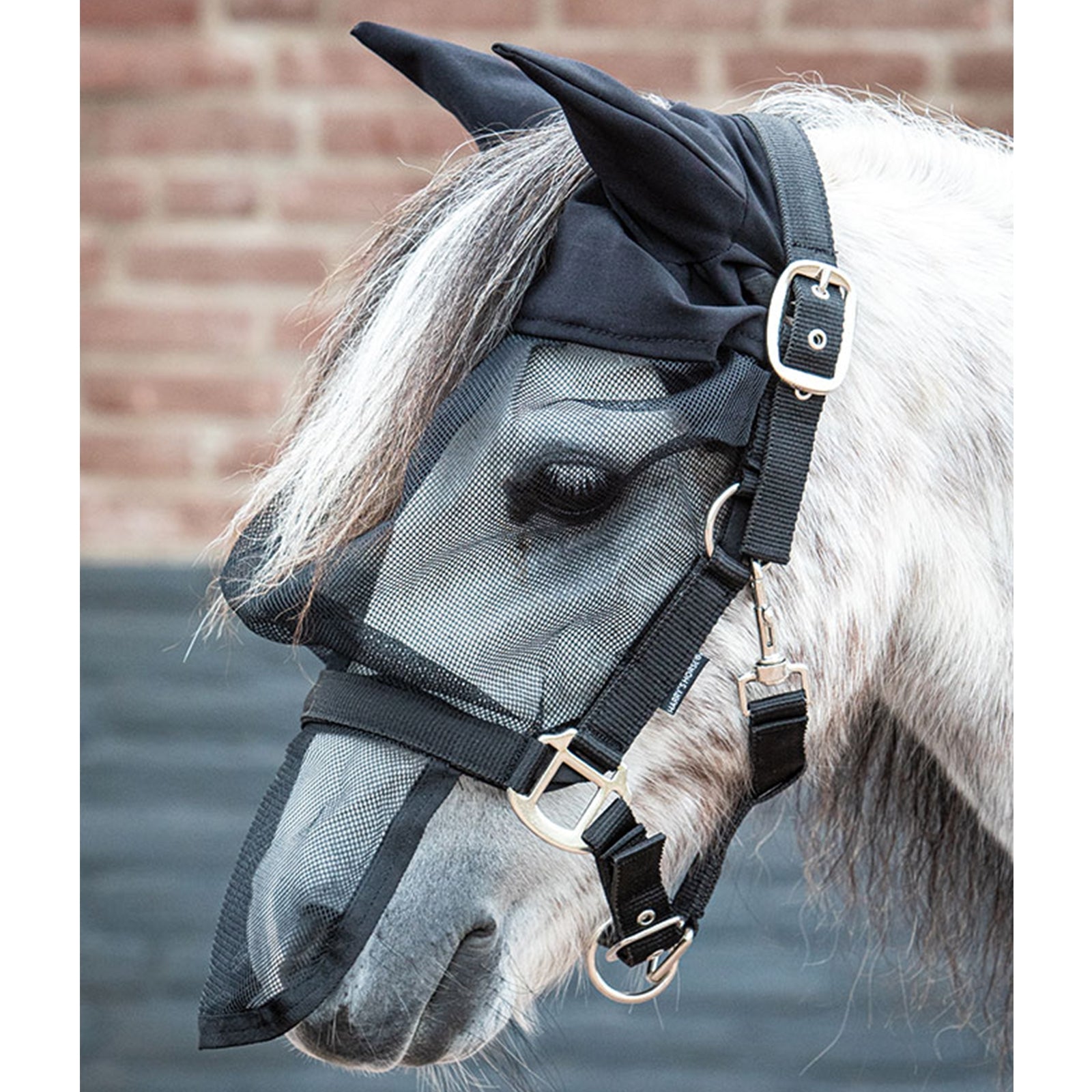 Alt Tag fallback text for IMAGE