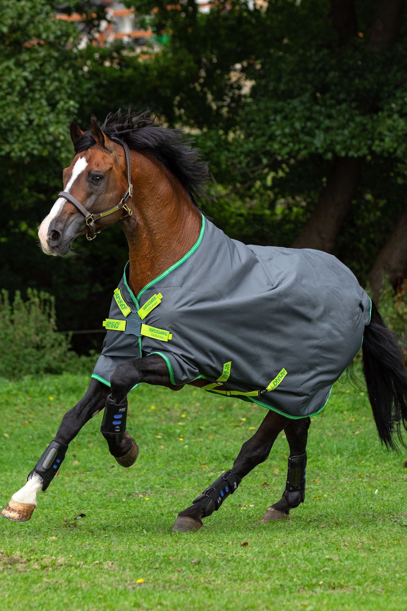 Horseware Amigo Hero 900 Lite Disc Turnout Rug, 0g Horse Rugs