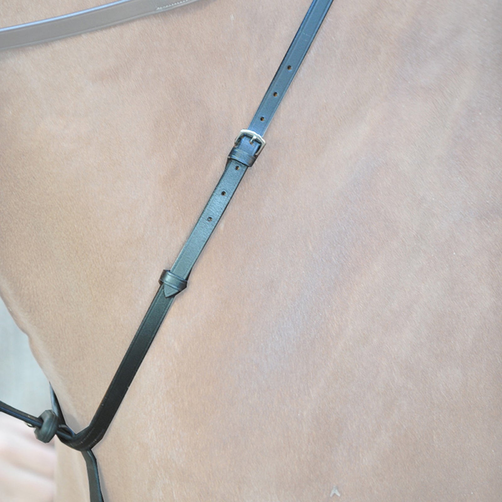 Kavalkade Ecoline Martingal with Stoppers Bridles & Reins