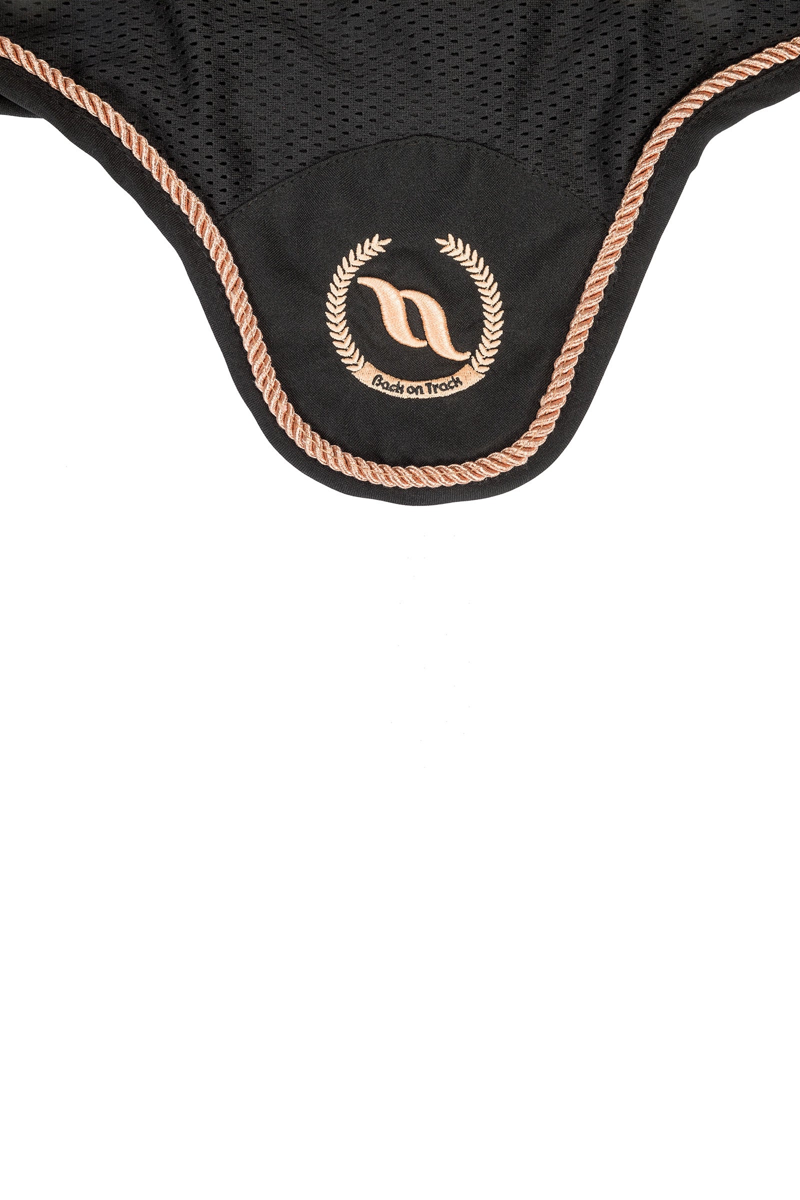 Alt Tag fallback text for IMAGE