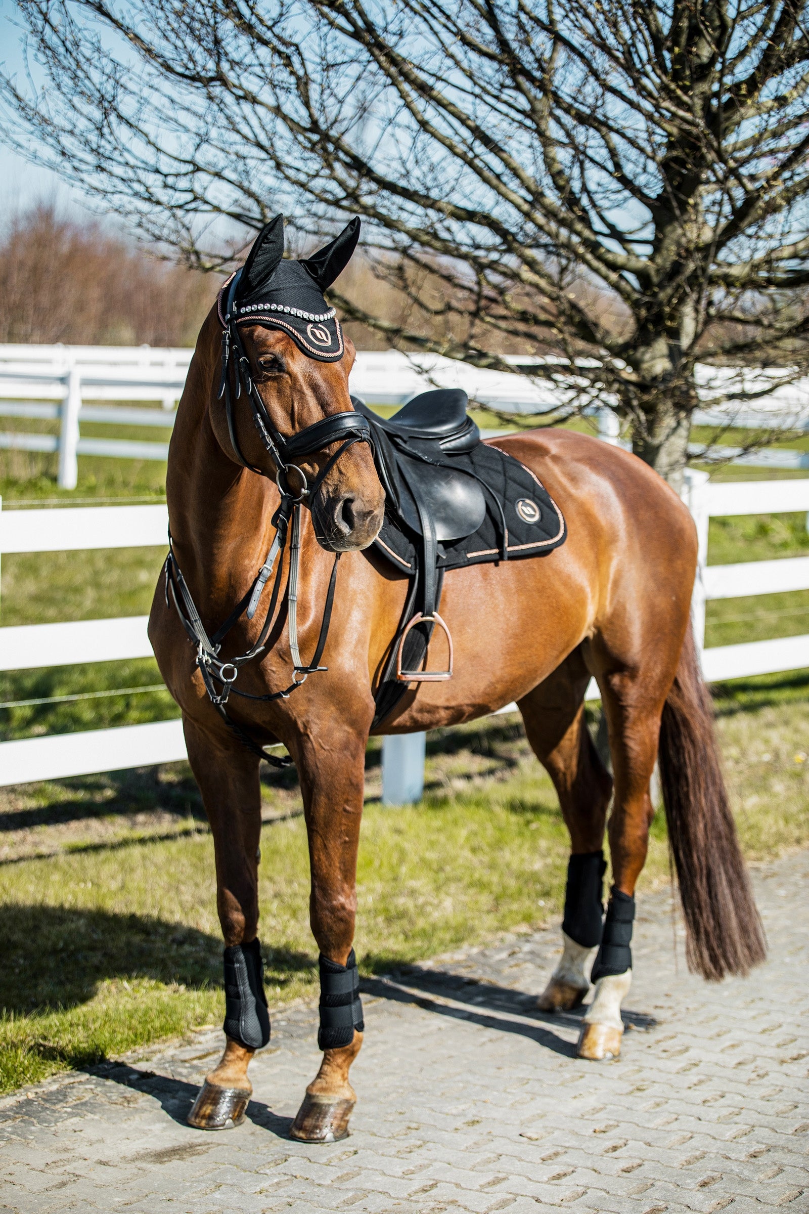undefined Back on Track Haze Collection Saddle Pad Jumping Saddle Pads