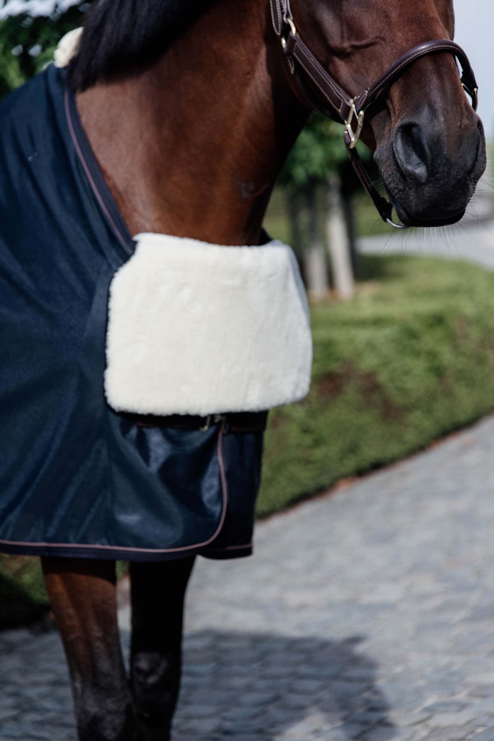 Kentucky Horsewear Horse BIB báránybőr mellvédő Lótakarók