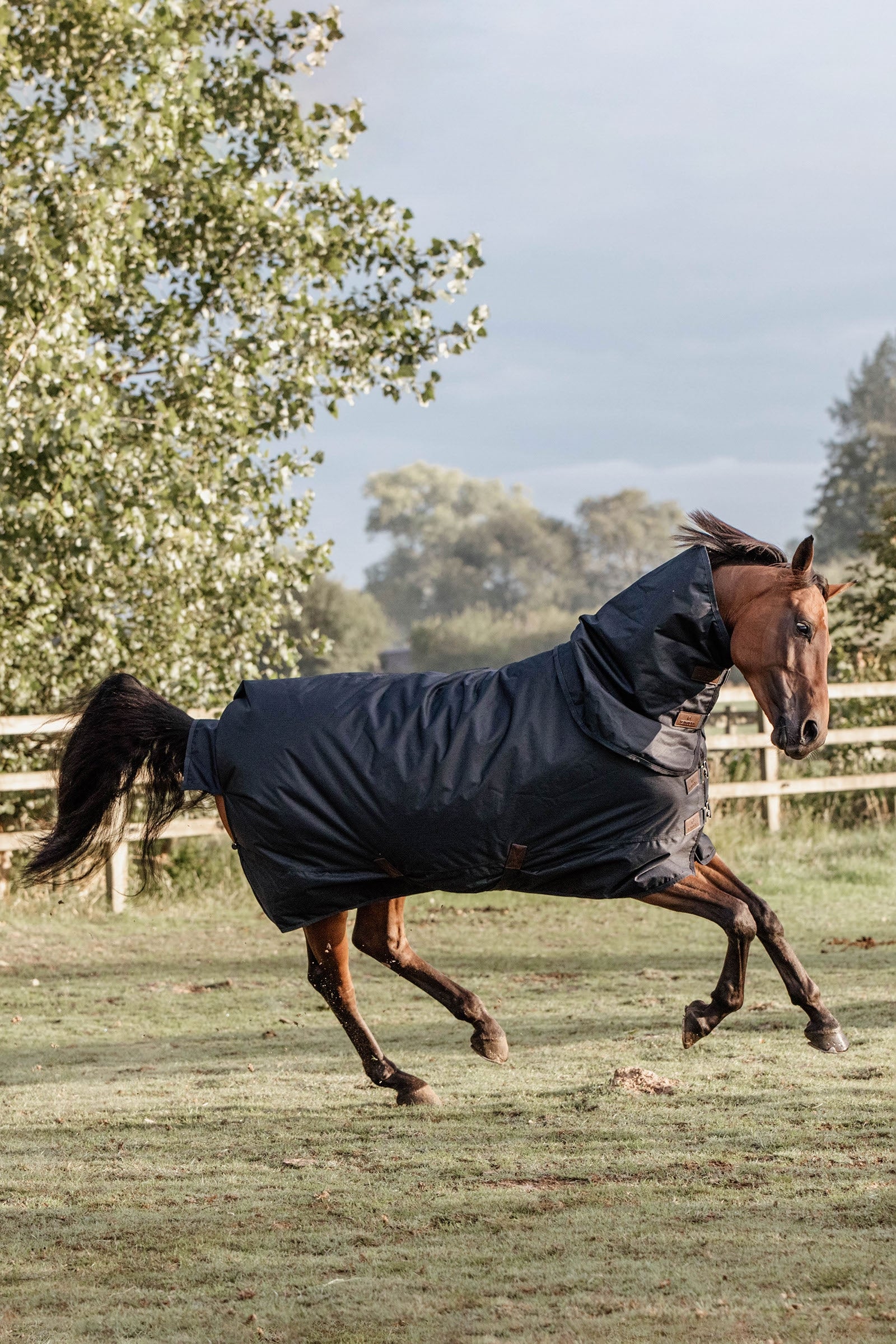 Kentucky Horsewear Turnout Rug minden időjárási vízálló Classic, 150g Lótakarók