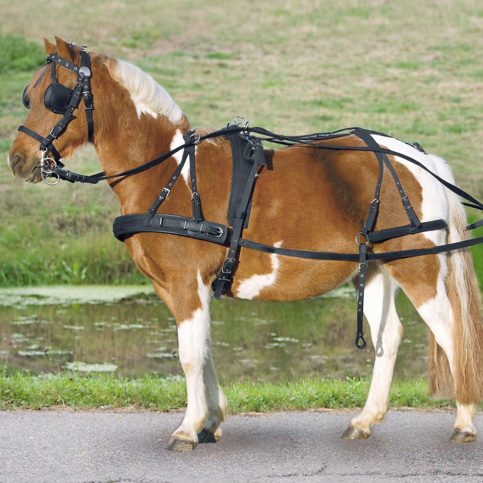 Waldhausen Single Harness Cob and Full Racing Tack