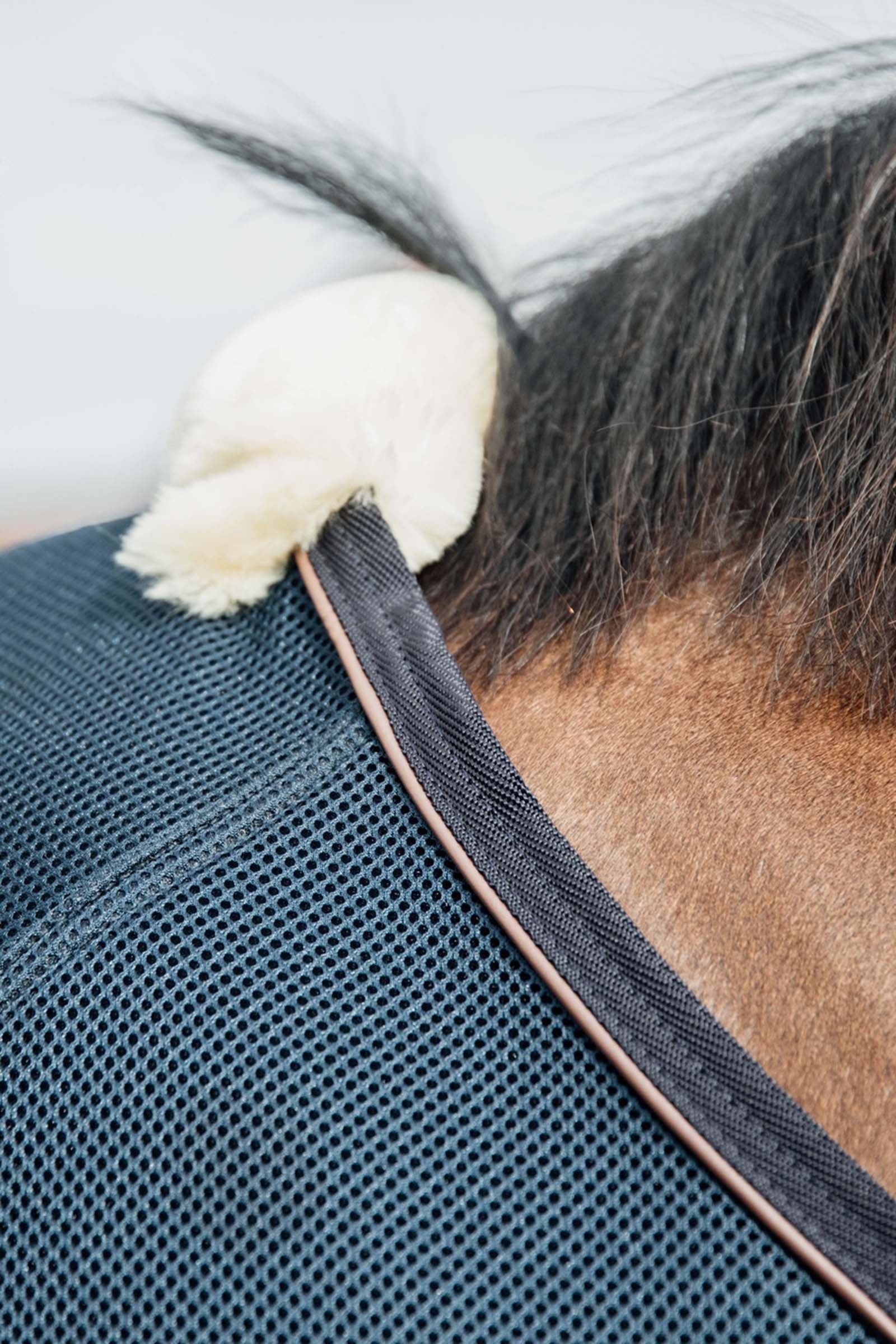 Kentucky Horsewear Mesh Combo Cooler Sheet Horse Rugs
