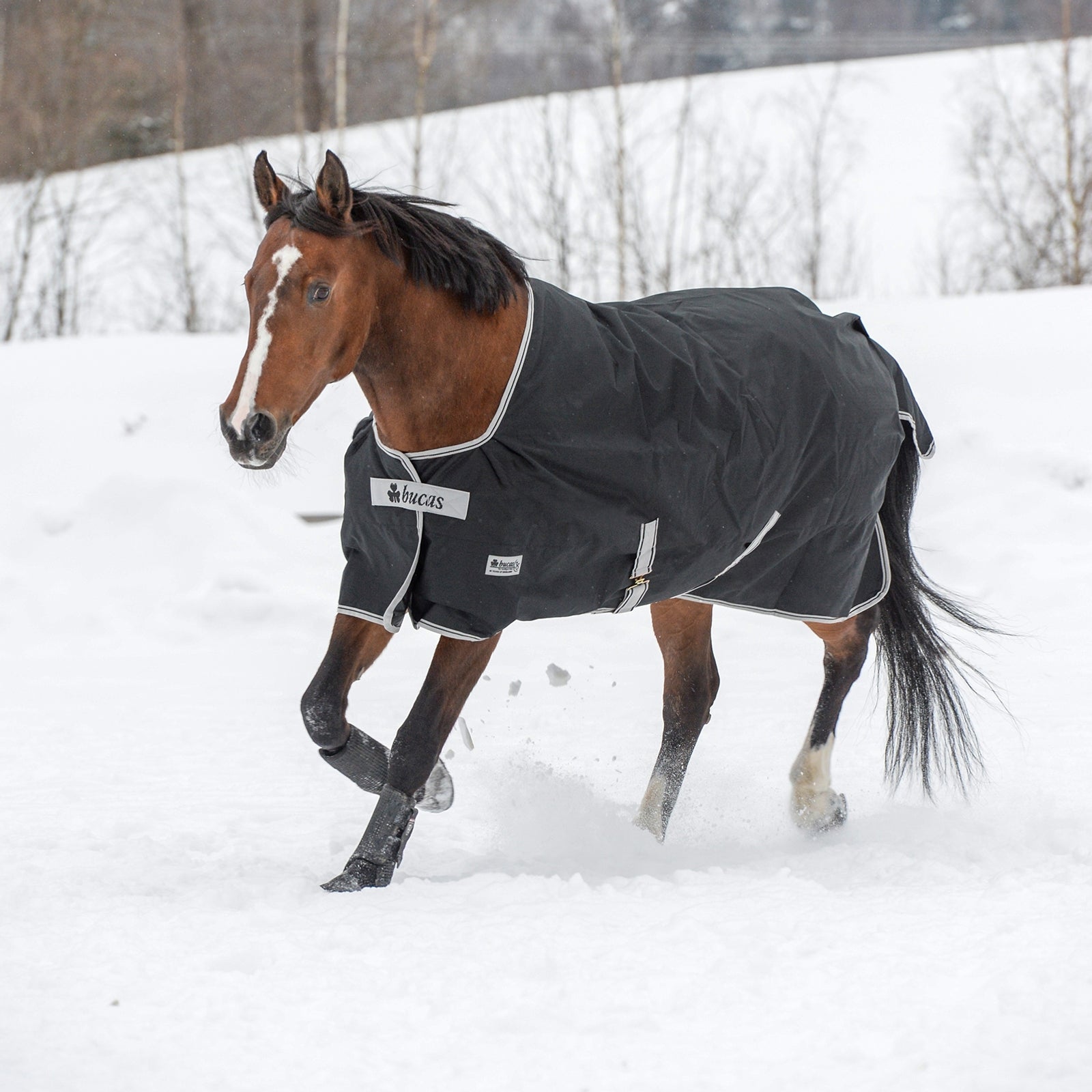 Bucas Anniversary Light SD Kültéri Takaró, 150g Lótakarók