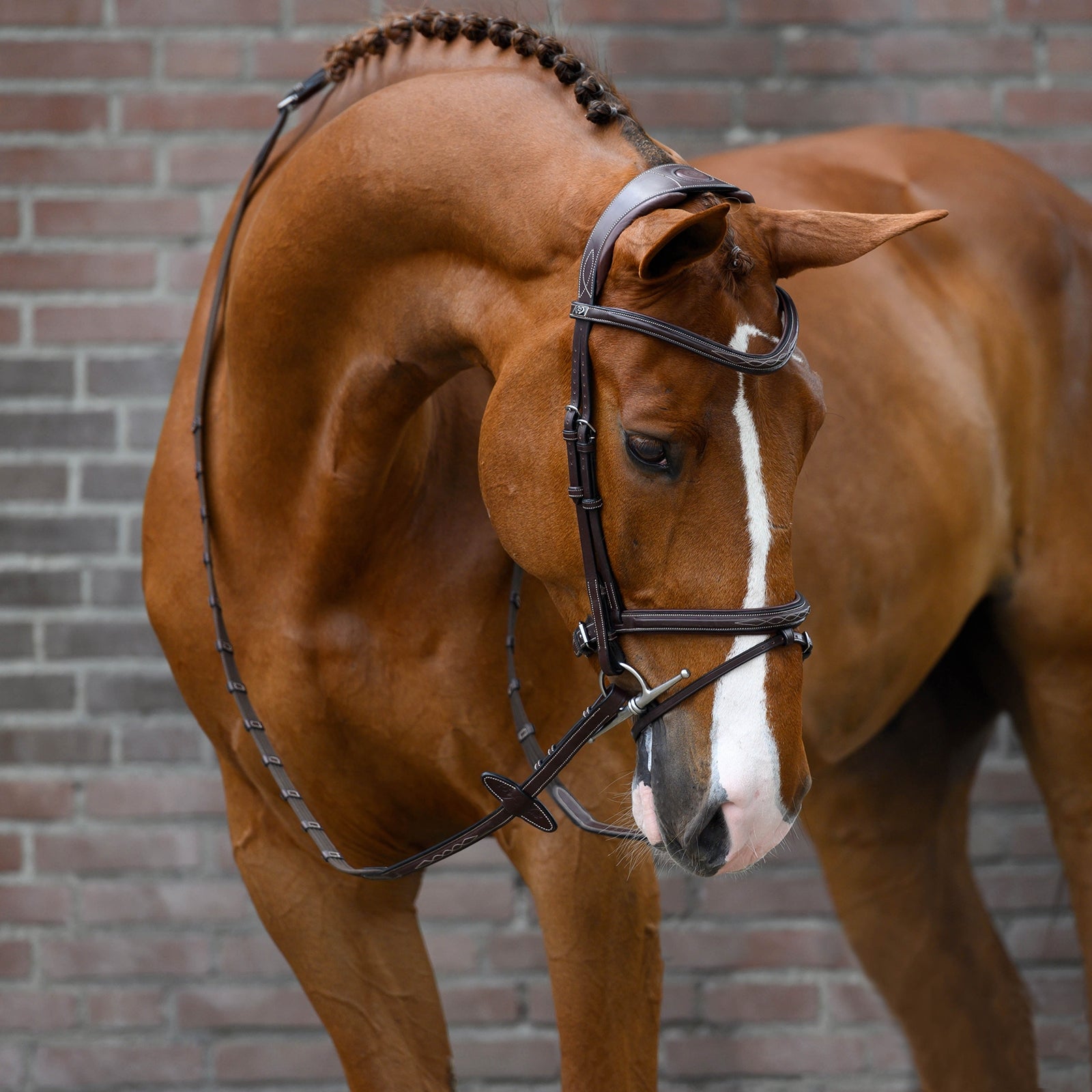 PS of Sweden Stockholm kantár Kantárok & Szárak