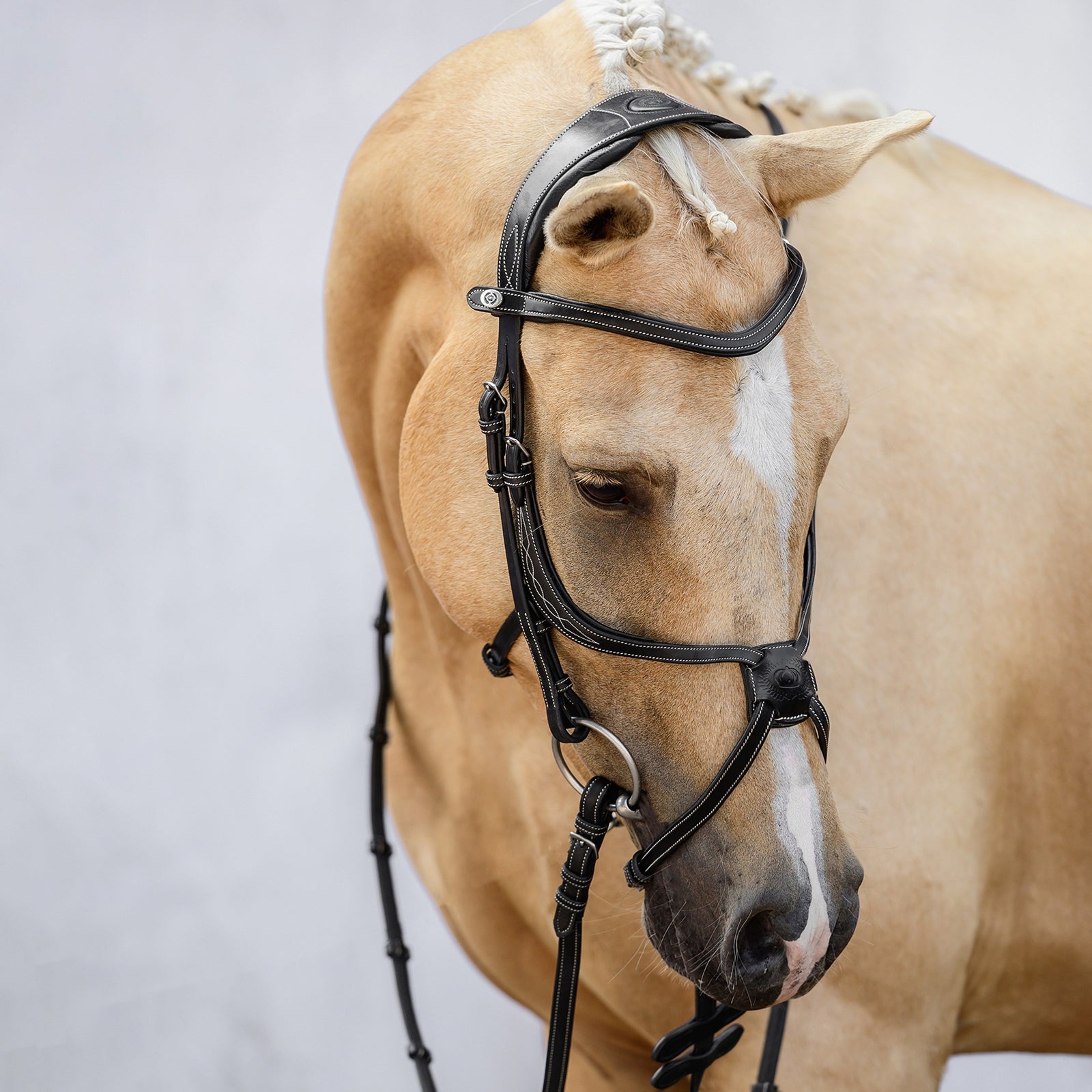 PS of Sweden Athén mexikói kantár Kantárok & Szárak