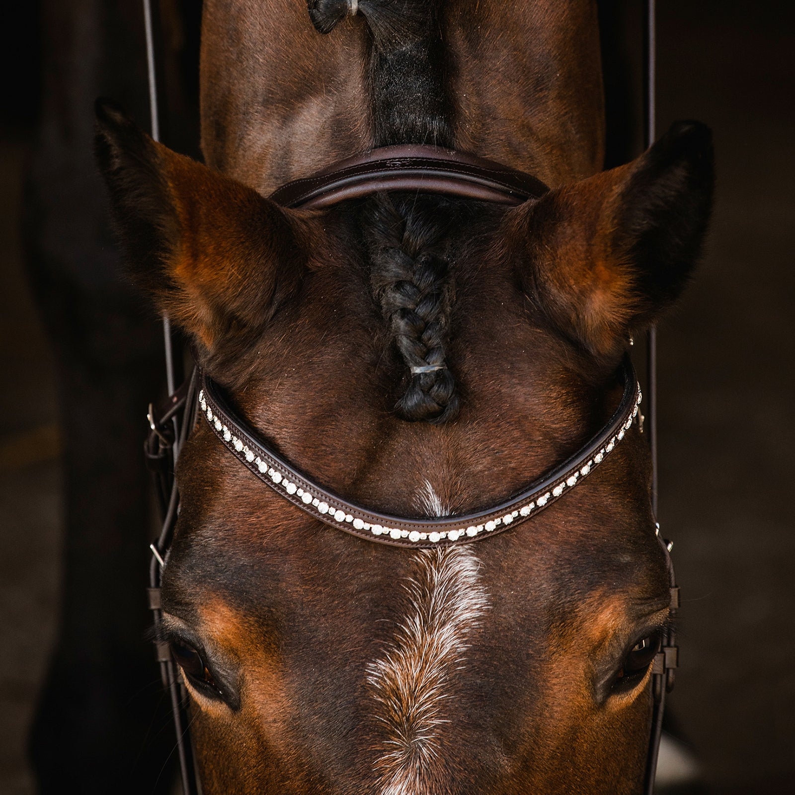 Schockemöhle Sports Brantford Bridle Bridles & Reins