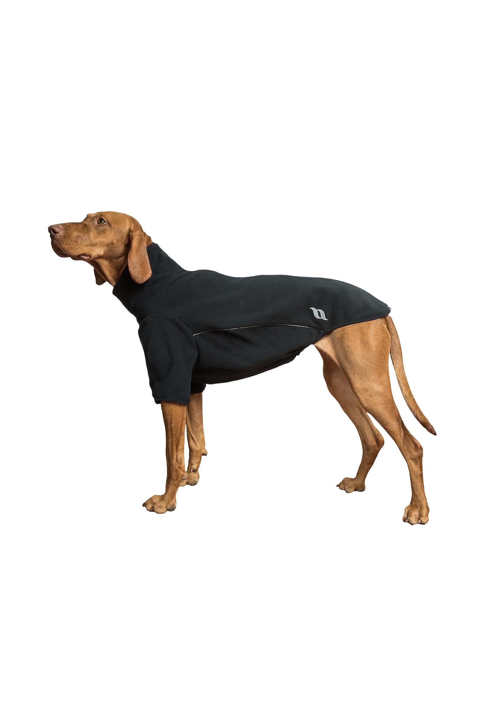 undefined Back on Track Cassie All-Weather Jumper, 25-30cm Dog Accesories