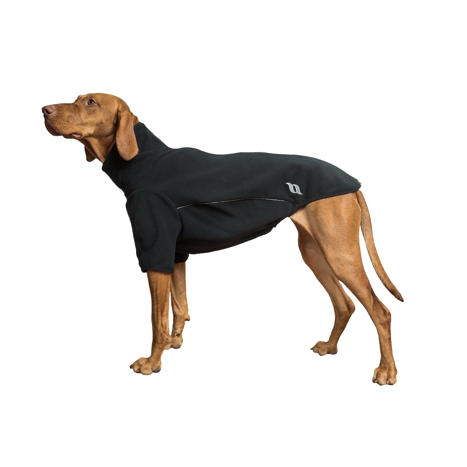 undefined Back on Track Cassie All-Weather Jumper, 35-40cm Dog Accesories