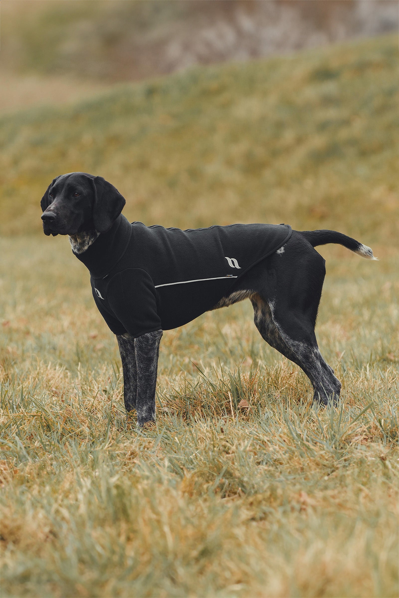 Back on Track Cassie All-Weather Jumper, 45-50cm Dog Accesories