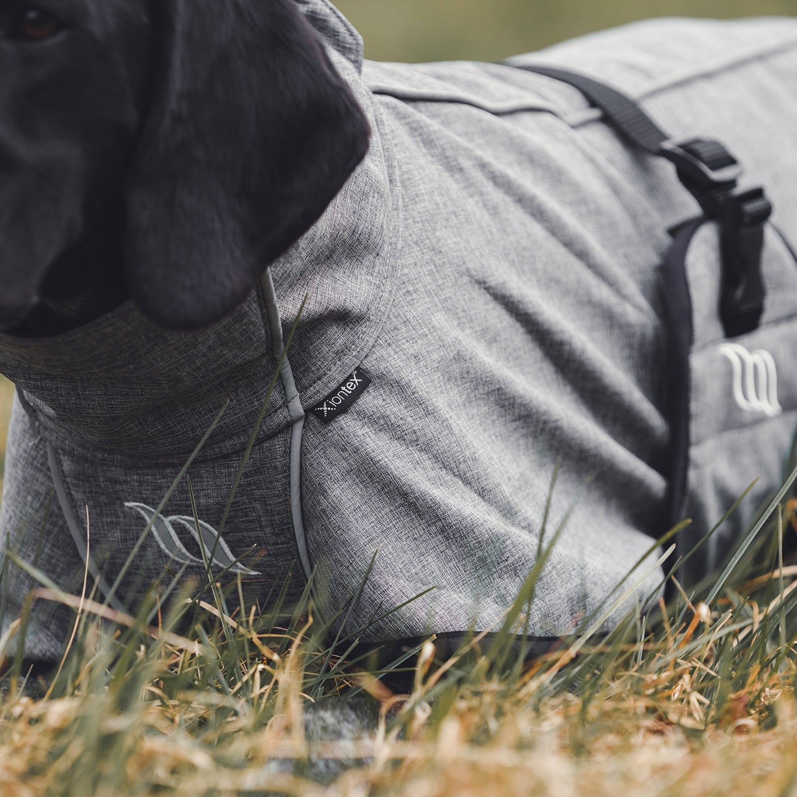 Back on Track Nella All-Round Dog Coat, 25-35cm Dog Accesories